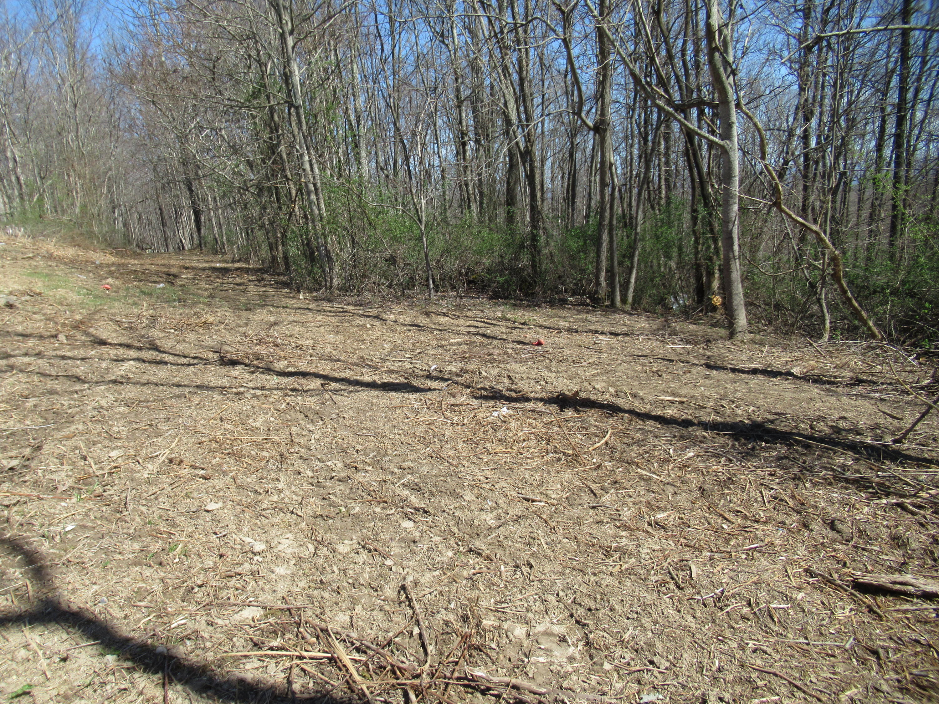Elk Knob Road Hinton, WV 25951 - Photo 13 of 15 Gallery Image 13
