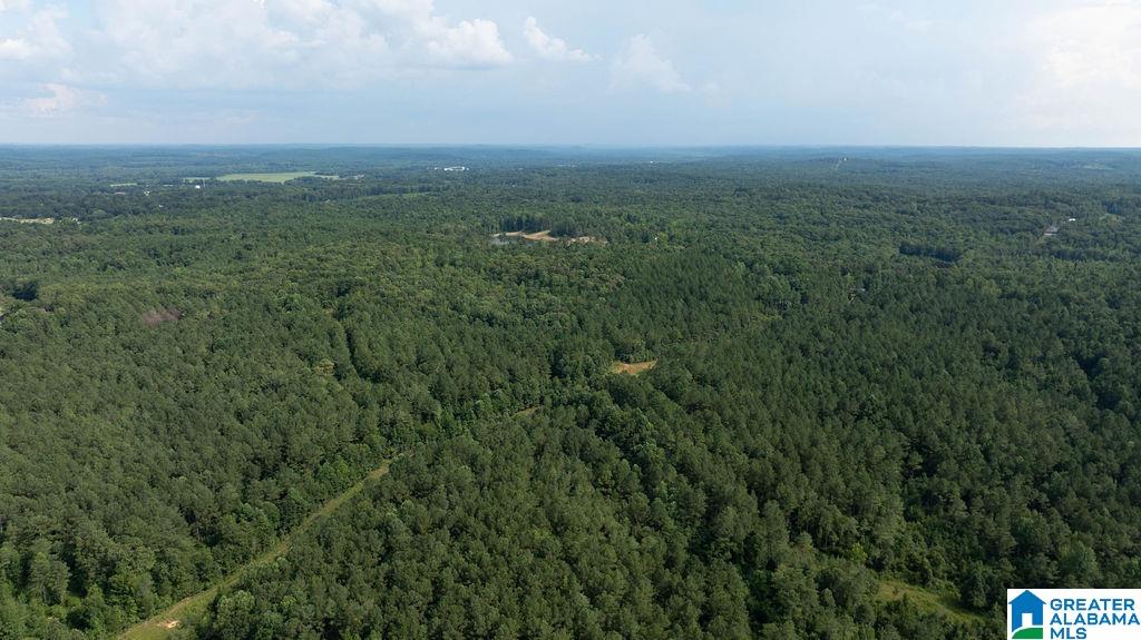 0 Wilkinson Road Fayette, AL 35555 - Photo 8 of 11