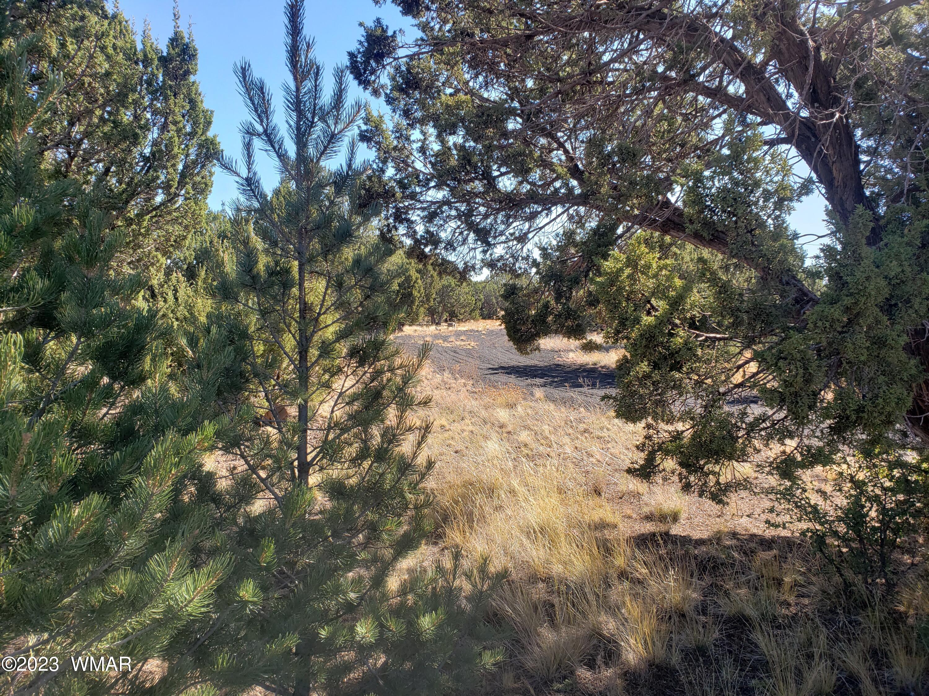 26 Co Road Vernon, AZ 85940 - Photo 3 of 7