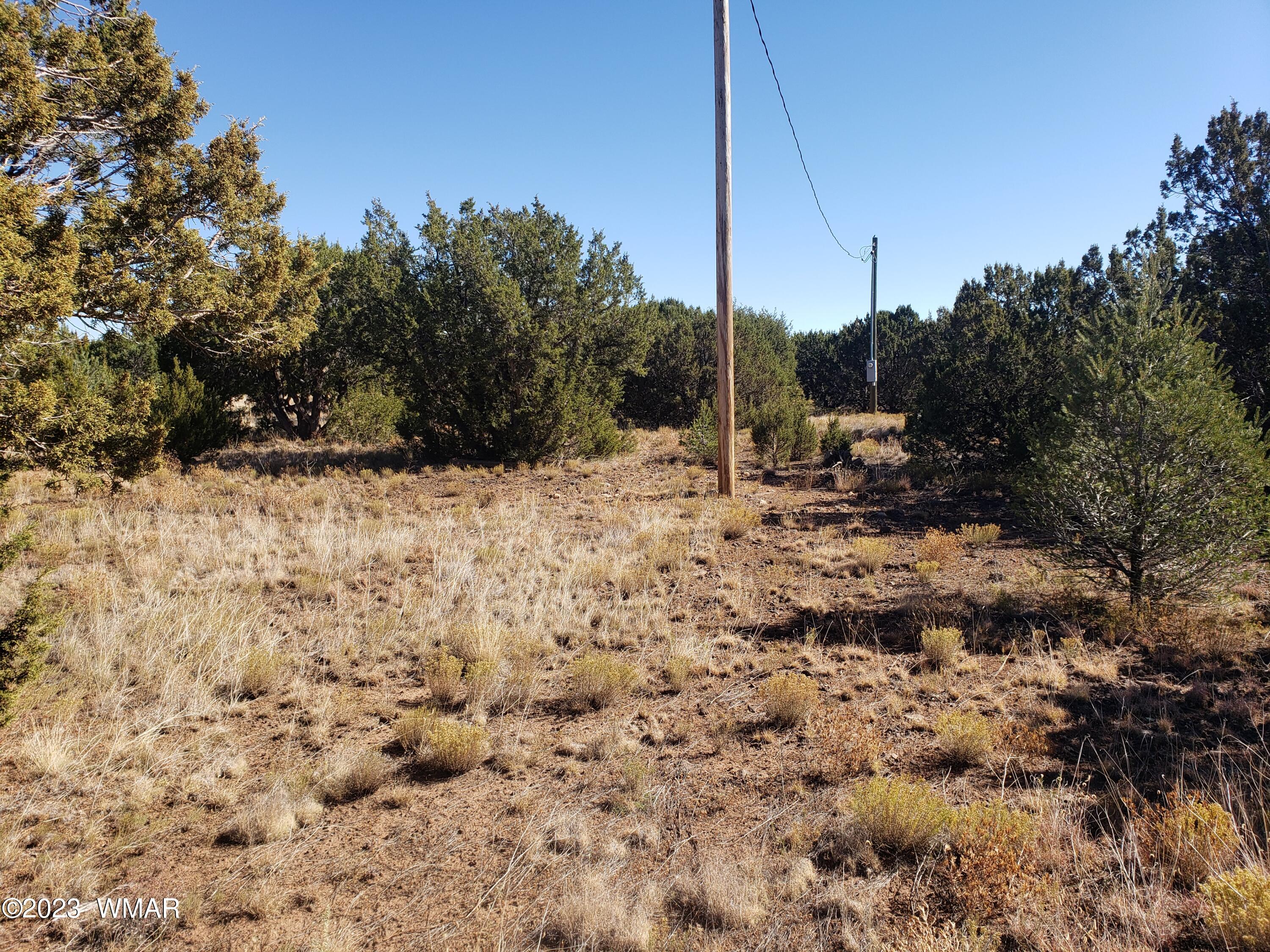 26 Co Road Vernon, AZ 85940 - Photo 4 of 7