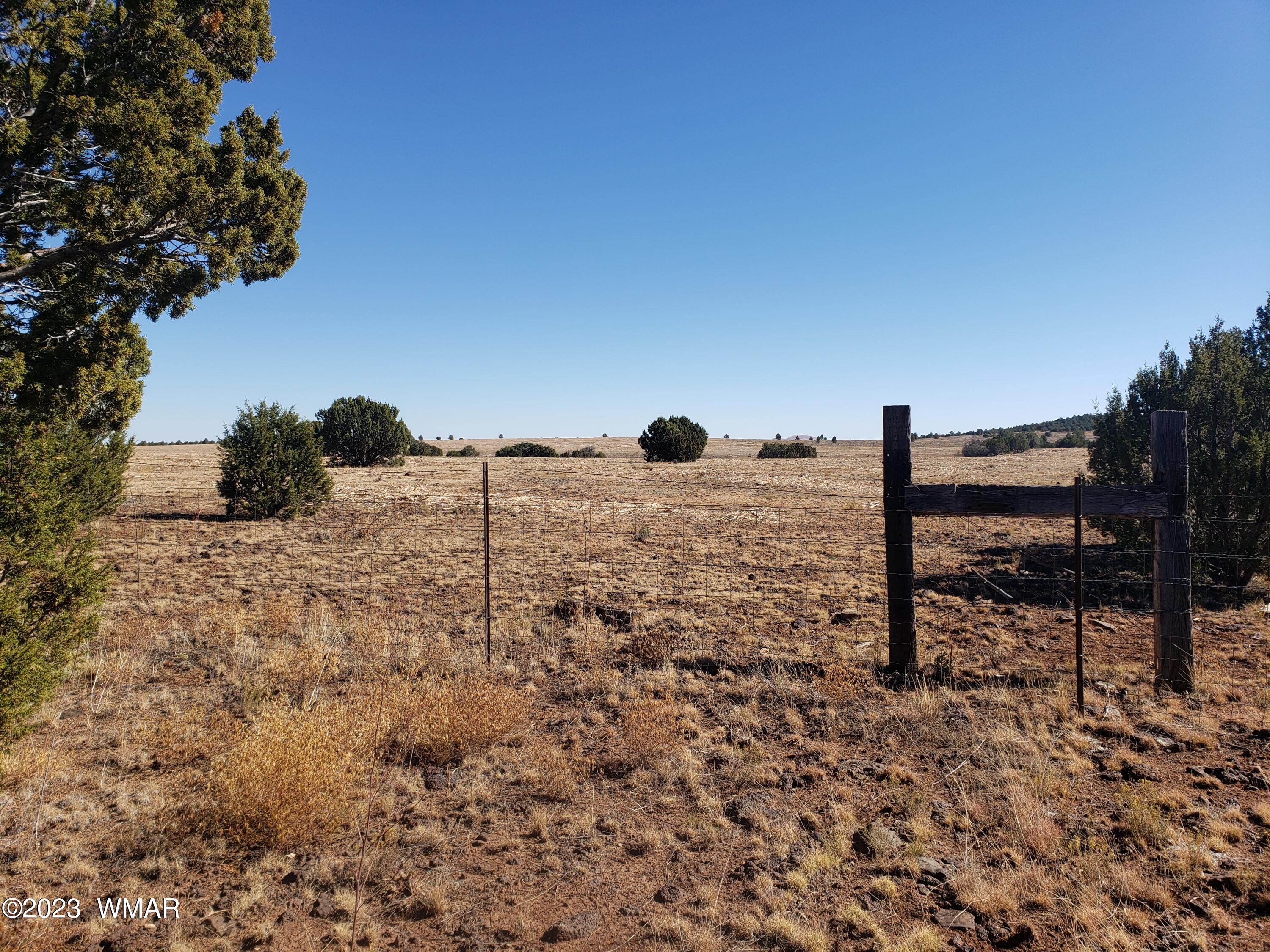 26 Co Road Vernon, AZ 85940 - Photo 5 of 7