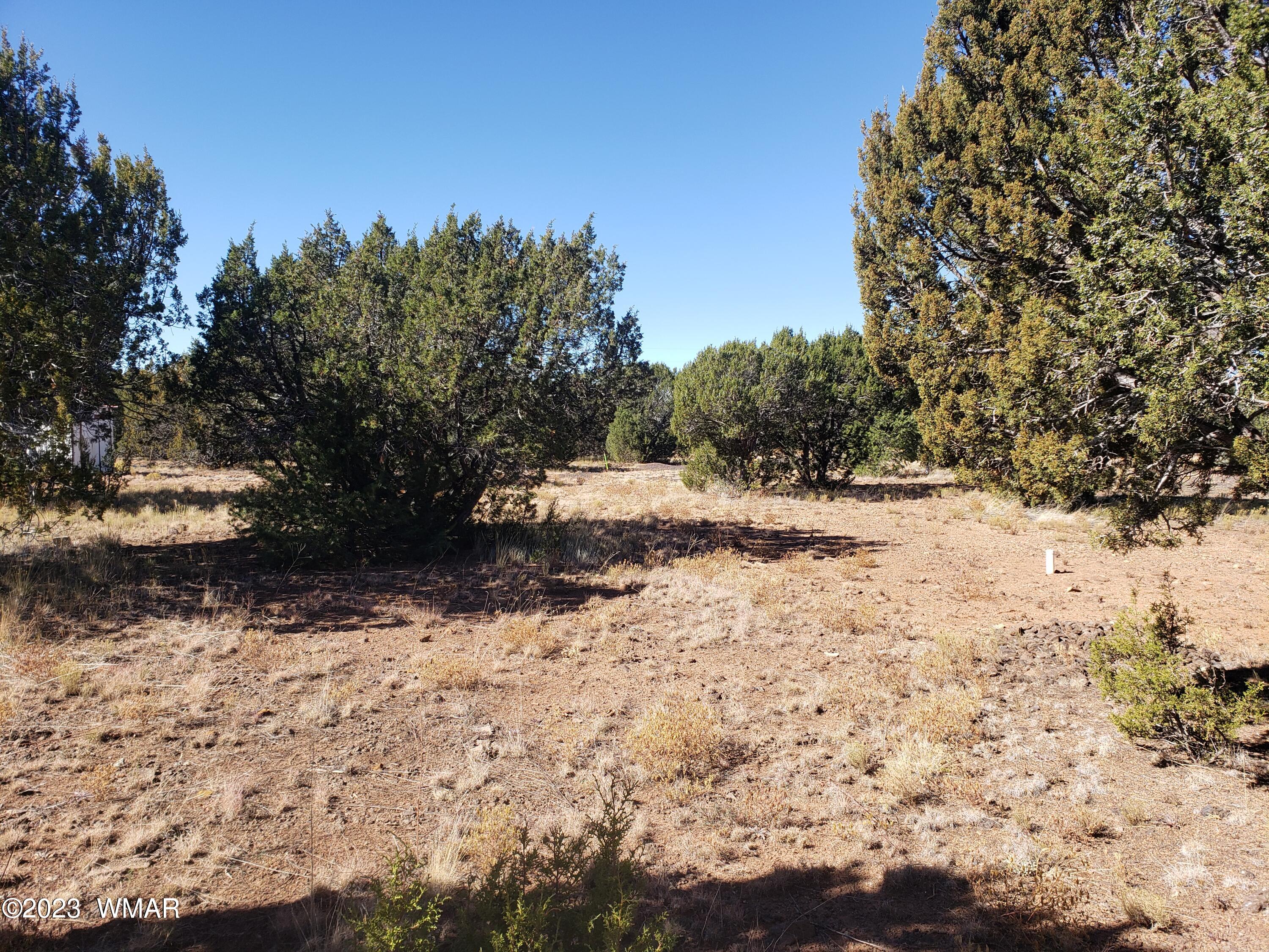 26 Co Road Vernon, AZ 85940 - Photo 7 of 7