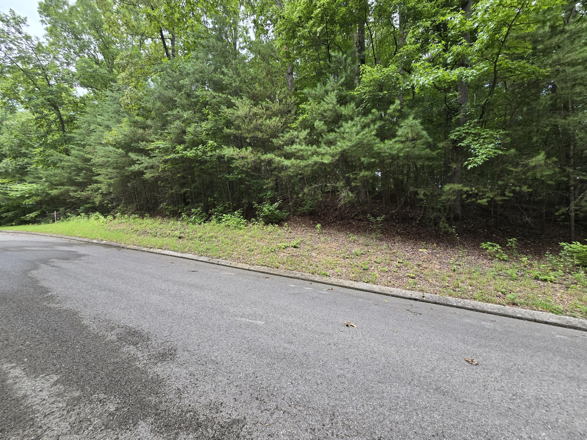 134 Lower Brow Road Dunlap, TN 37327 - Photo 1 of 3