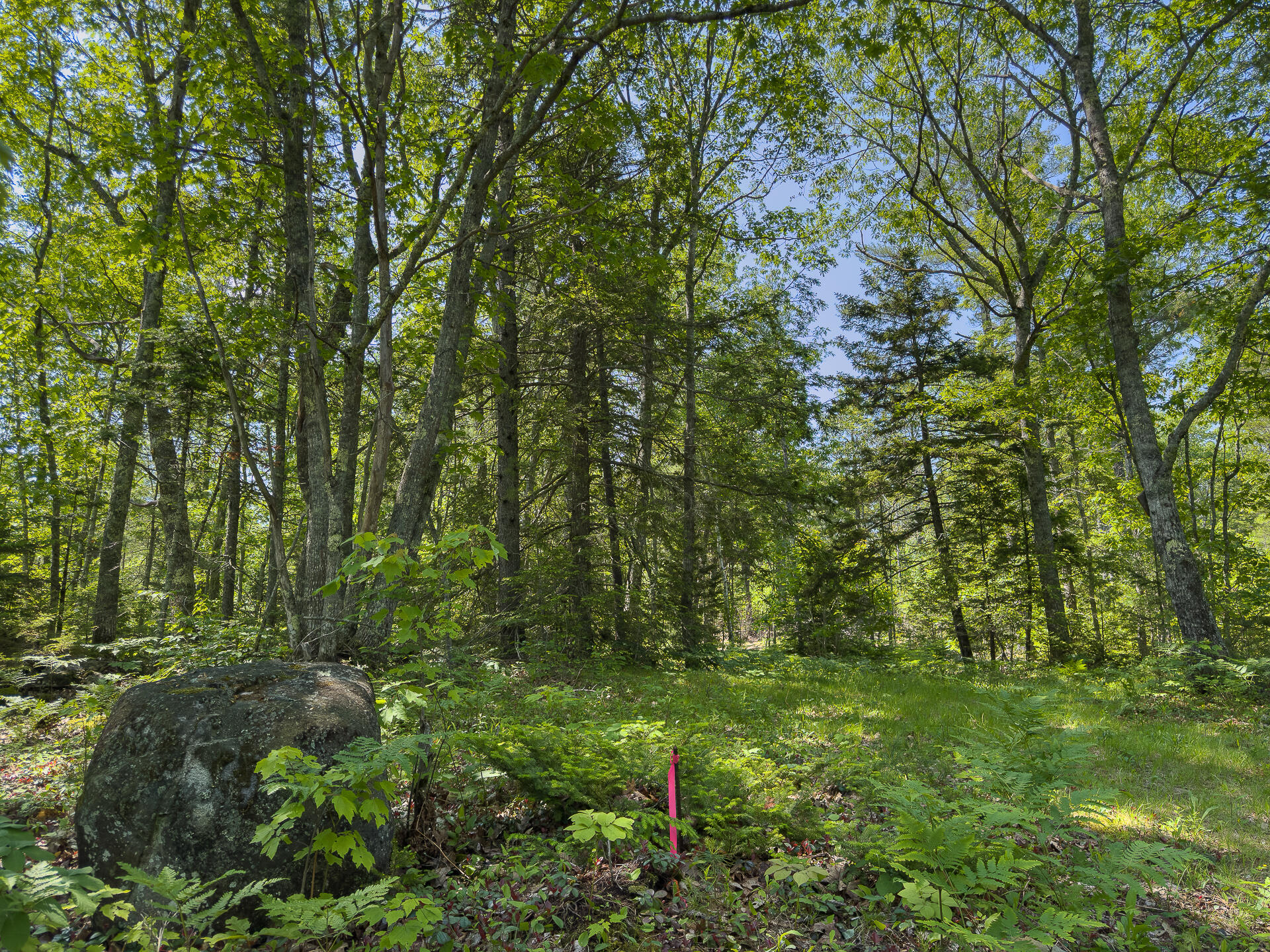 0 Sodom Road Bristol, ME 04539 - Photo 11 of 49 0_Sodom_Rd_spring-10