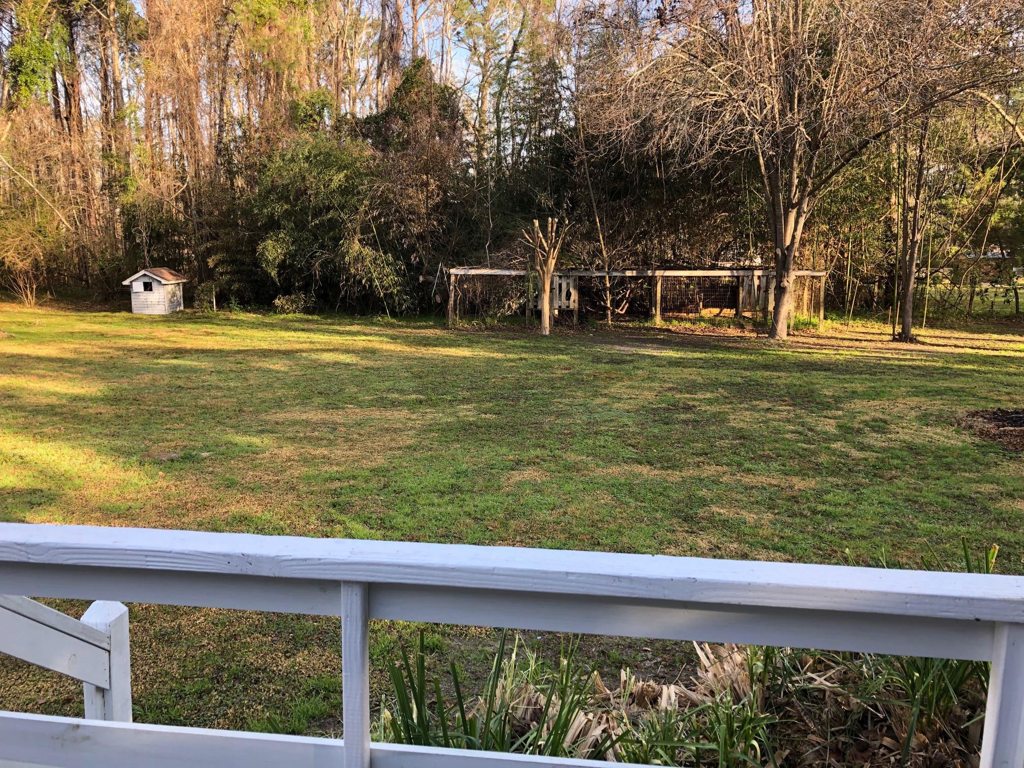 7348 Commodore Road Hollywood, SC 29449 - Photo 16 of 21 backyard