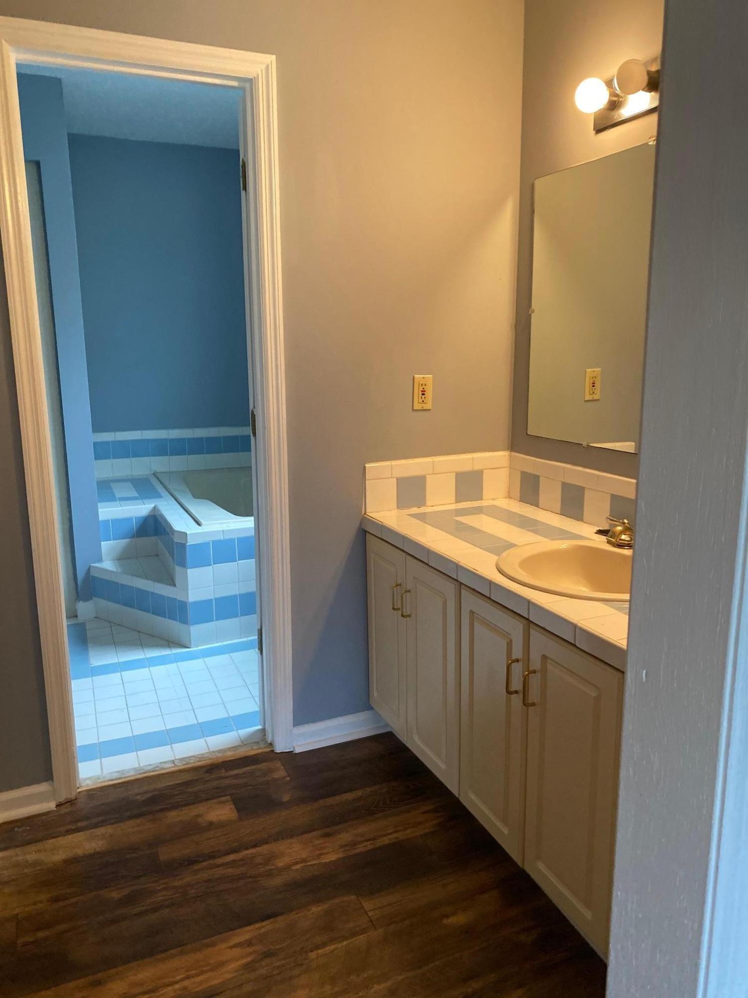 7348 Commodore Road Hollywood, SC 29449 - Photo 7 of 21 master bath