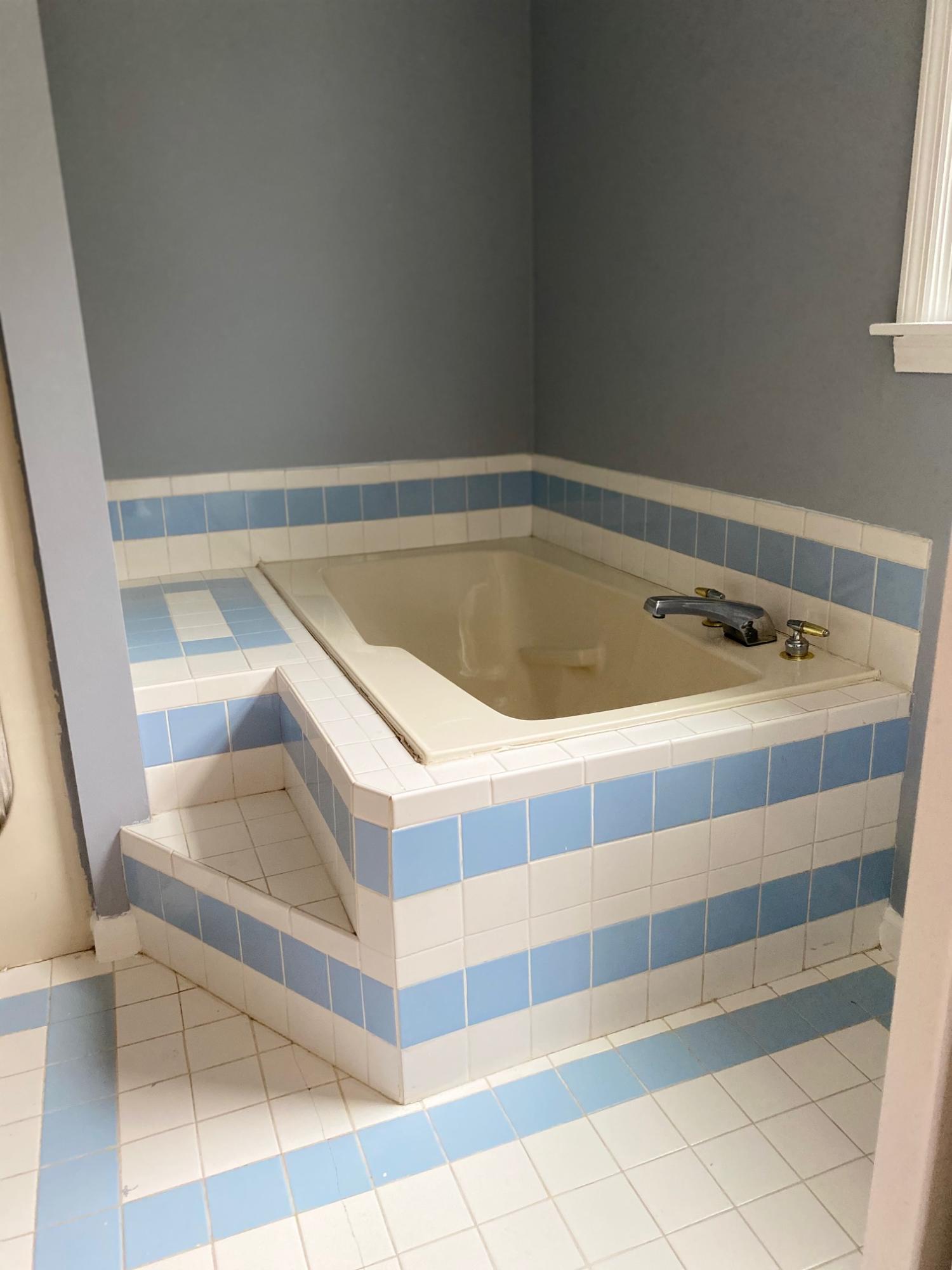 7348 Commodore Road Hollywood, SC 29449 - Photo 8 of 21 master garden tub