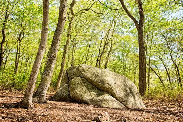 $1,325,000 | 0 North Road/15 Belhaven Way, Chilmark, MA 02535