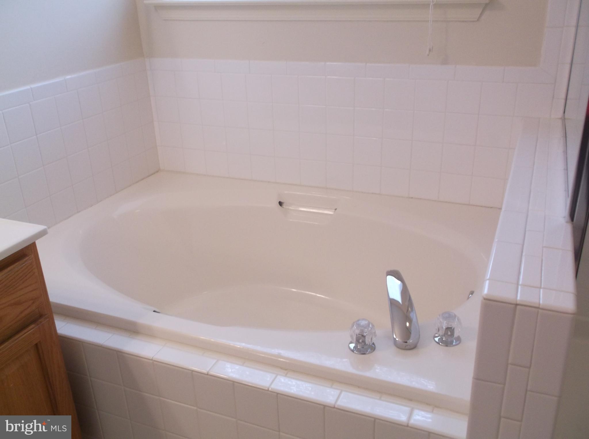 11155 Rawhide Road Lusby, MD 20657 - Photo 21 of 30 Bath (Master)