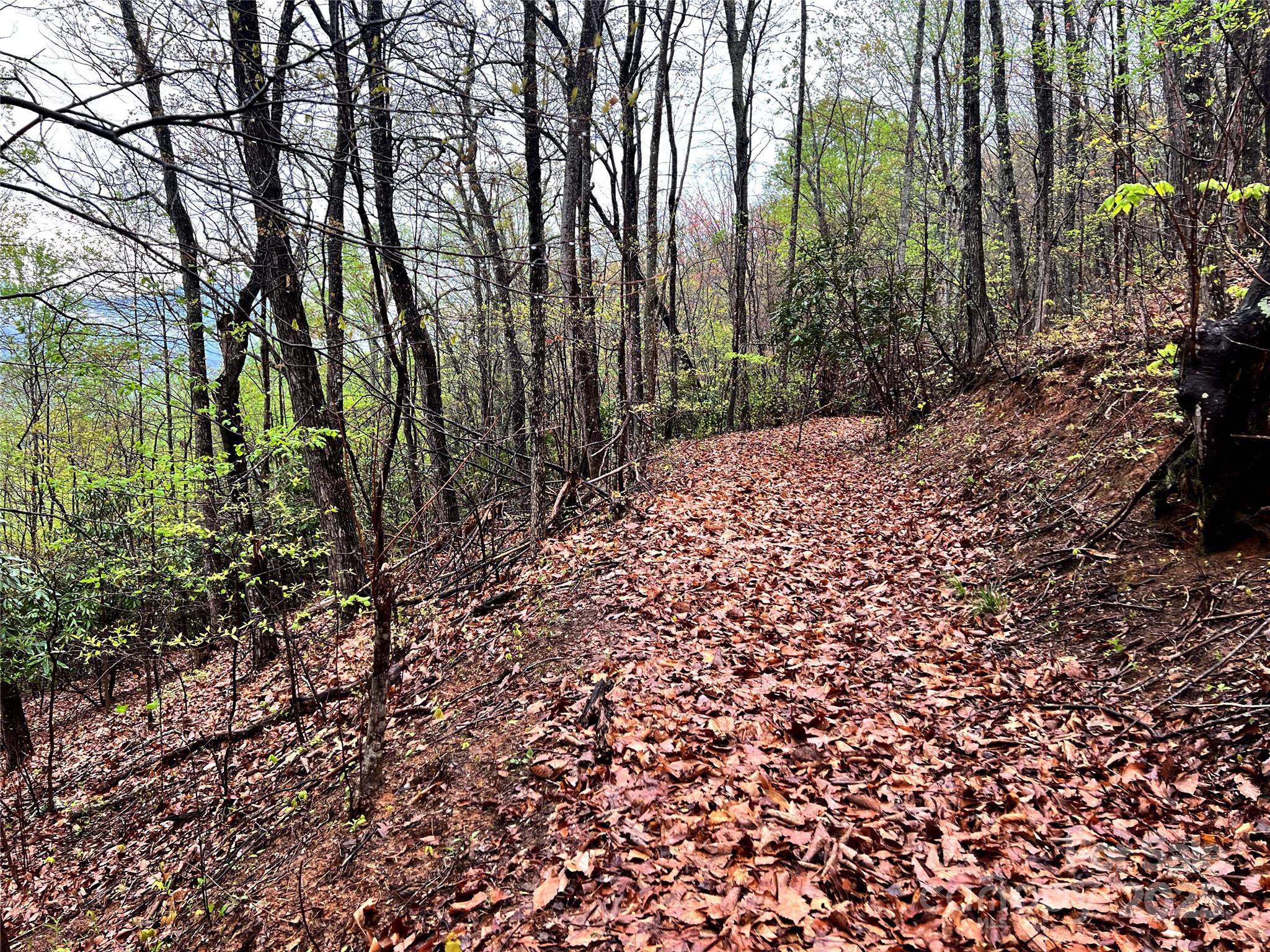 0 Scenic View Drive, Unit 150 Marion, NC 28752 - Photo 11 of 30