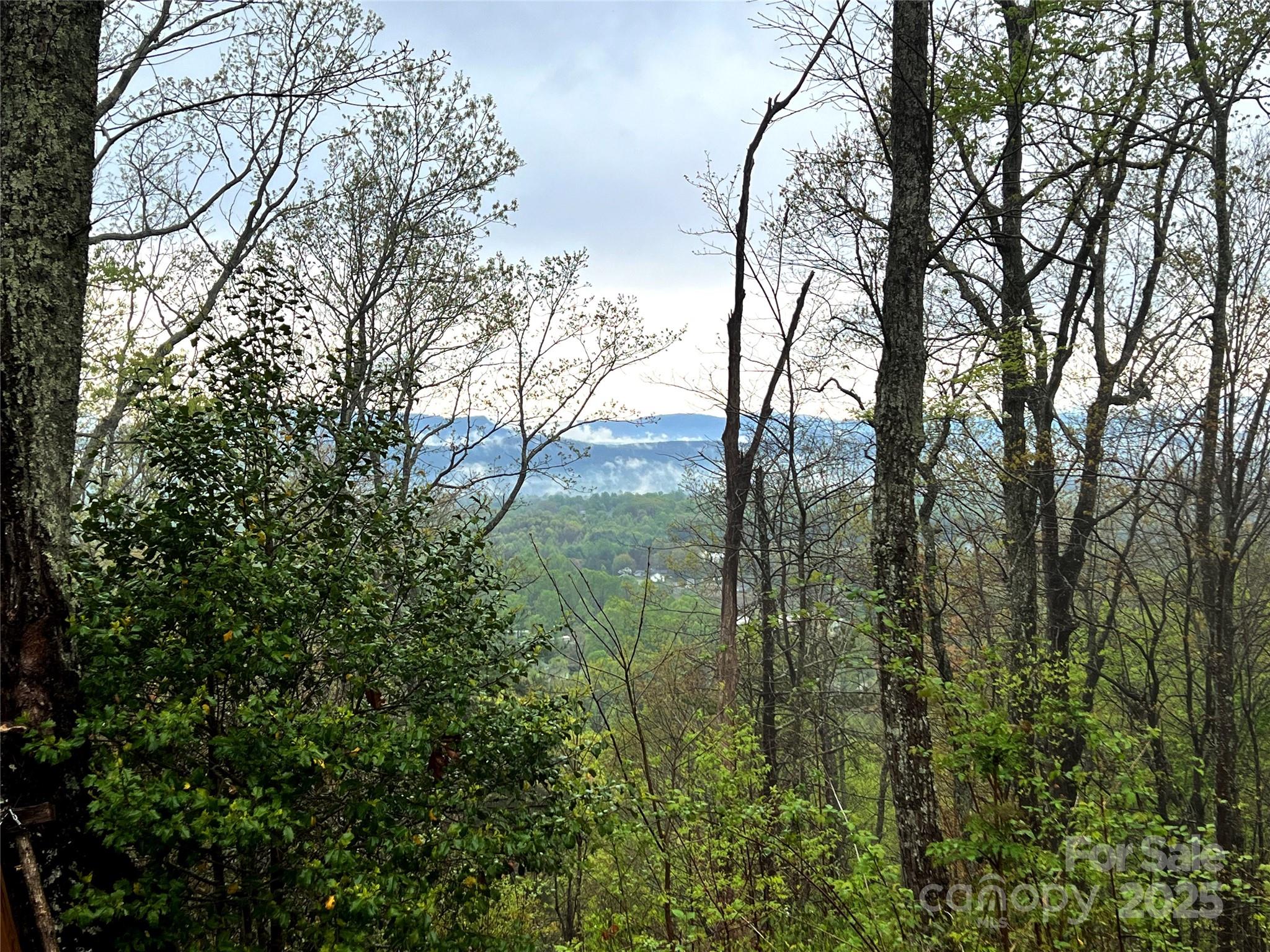 0 Scenic View Drive, Unit 150 Marion, NC 28752 - Photo 13 of 30