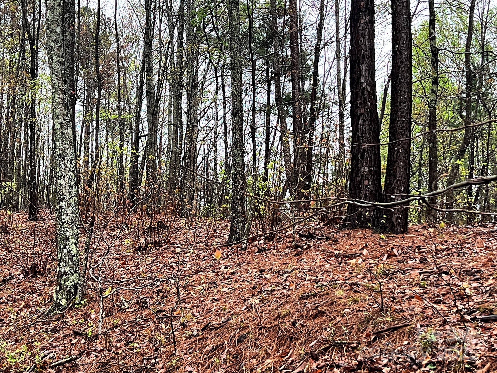 0 Scenic View Drive, Unit 150 Marion, NC 28752 - Photo 15 of 30