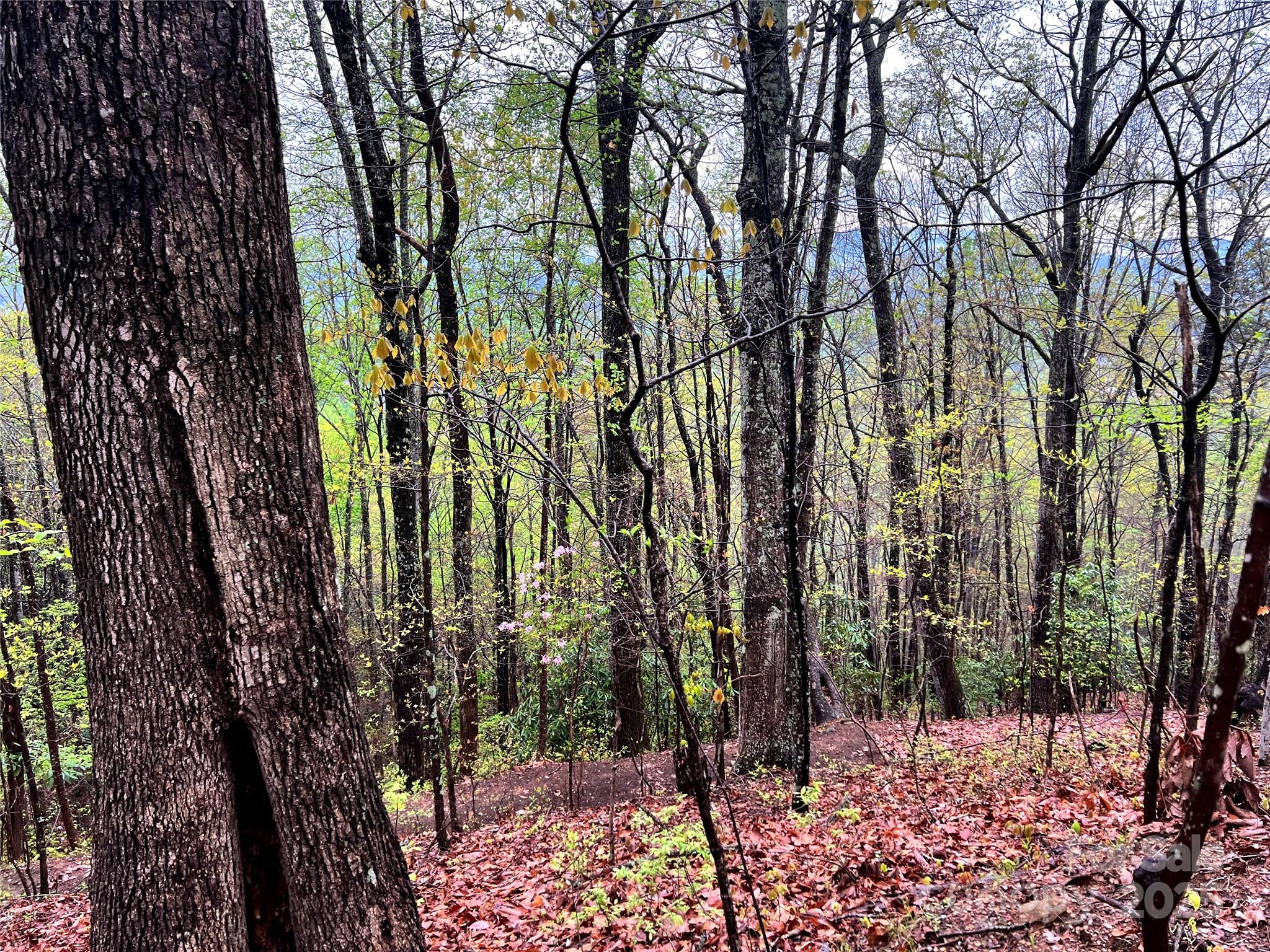 0 Scenic View Drive, Unit 150 Marion, NC 28752 - Photo 17 of 30