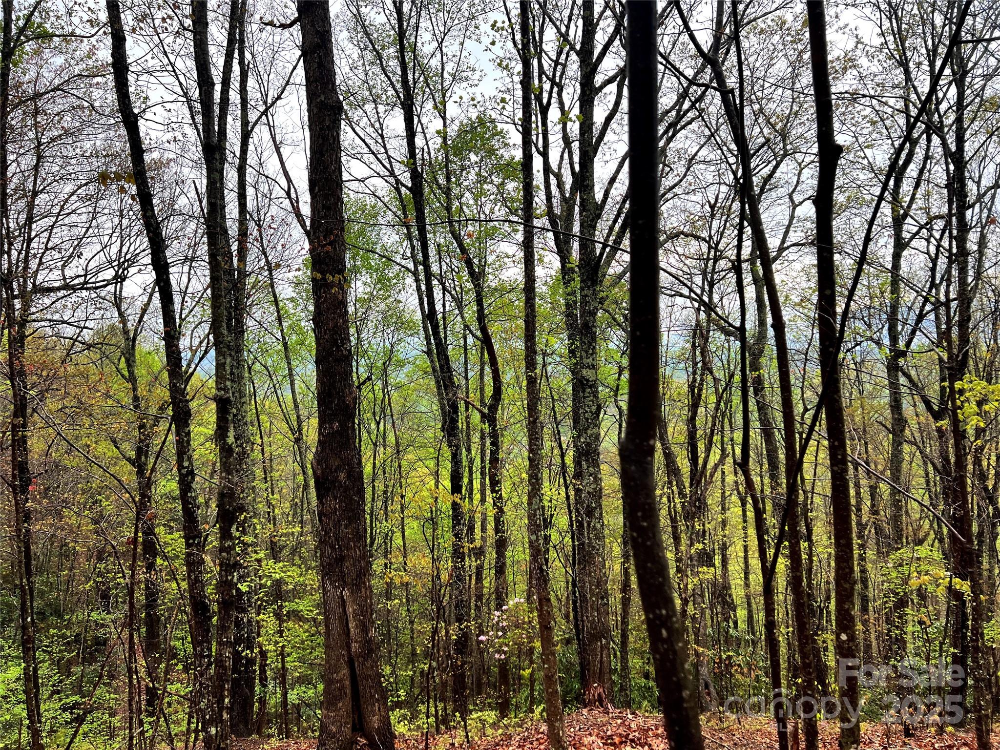 0 Scenic View Drive, Unit 150 Marion, NC 28752 - Photo 19 of 30