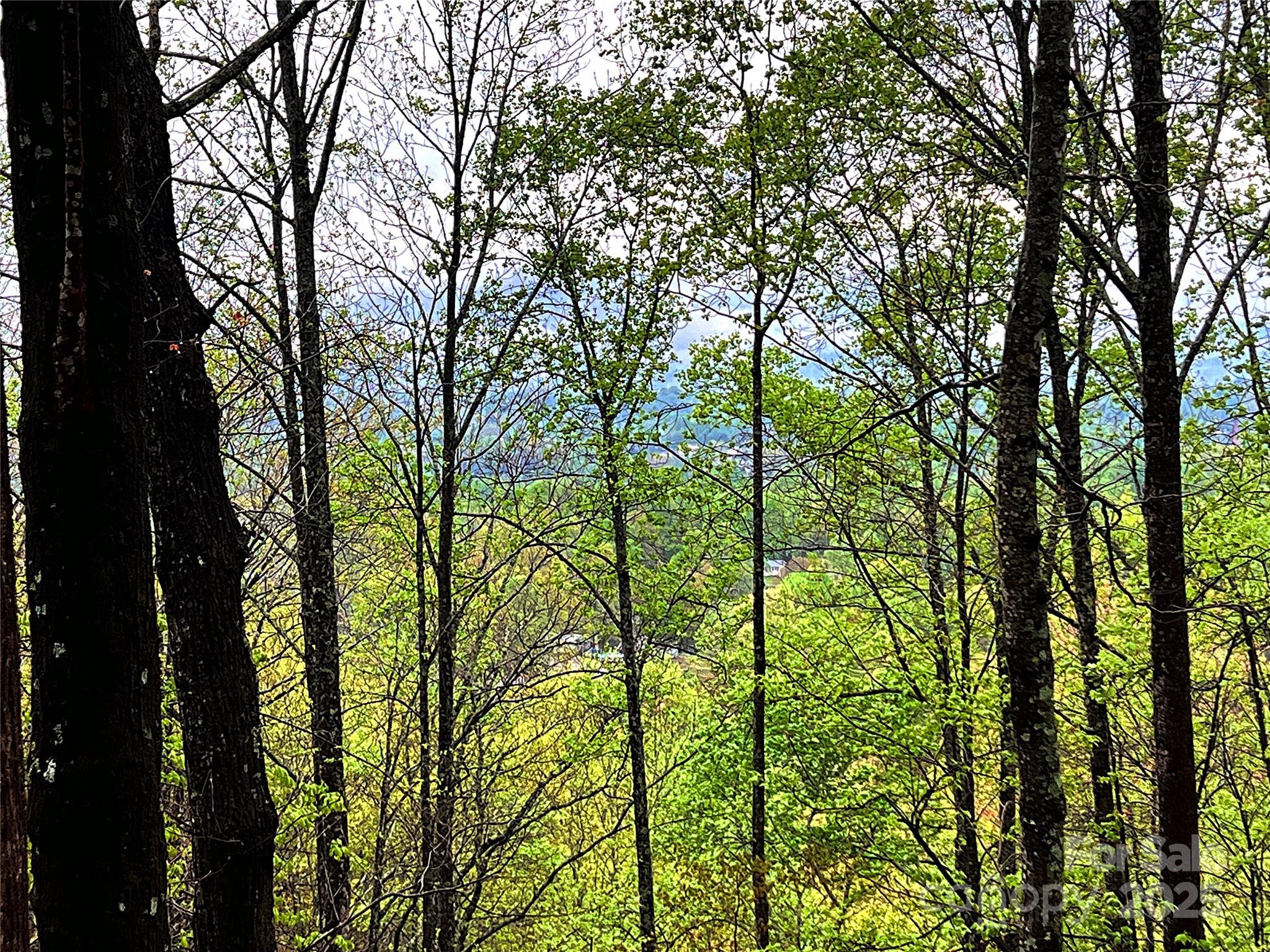 0 Scenic View Drive, Unit 150 Marion, NC 28752 - Photo 20 of 30