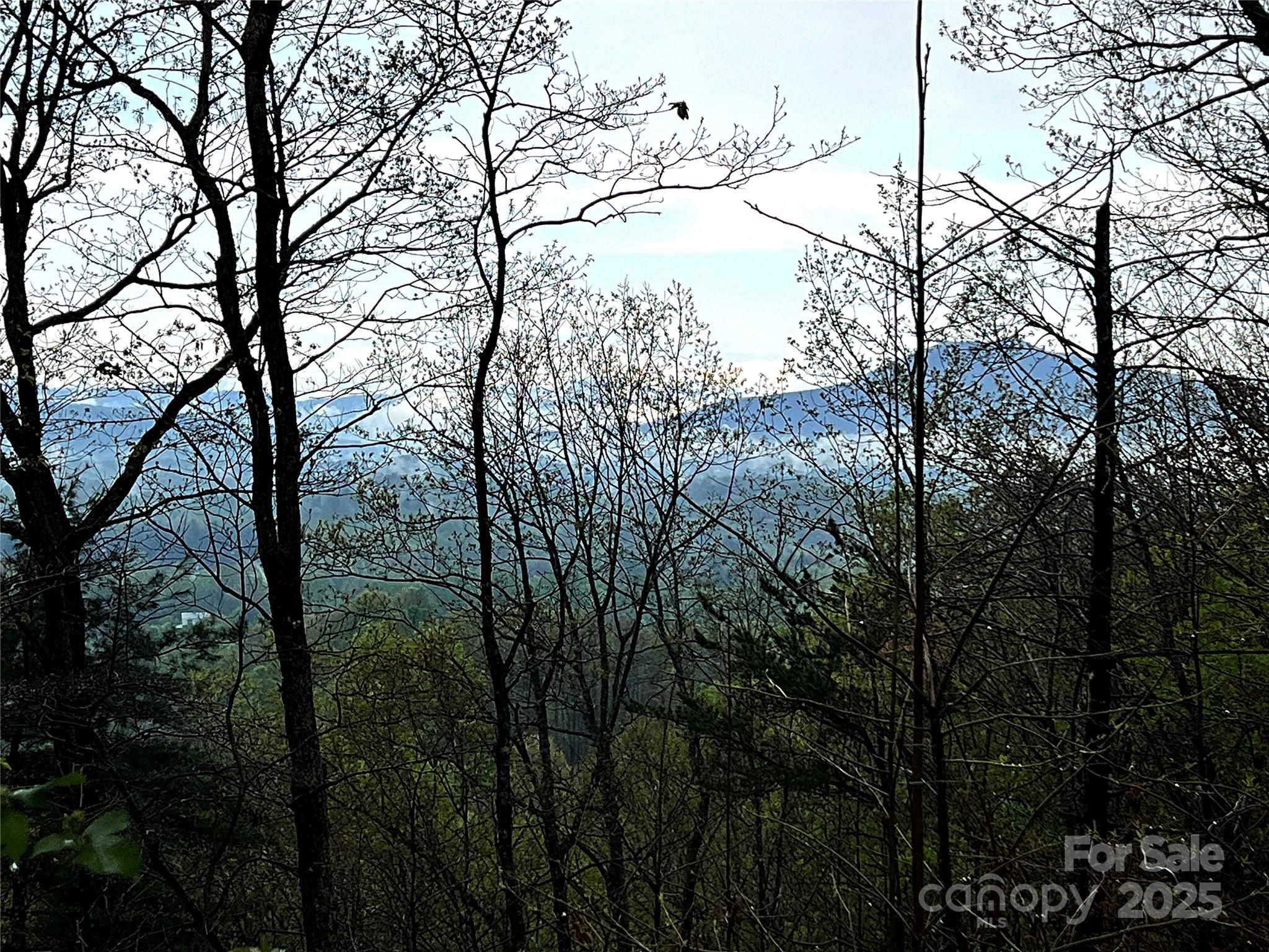 0 Scenic View Drive, Unit 150 Marion, NC 28752 - Photo 2 of 30