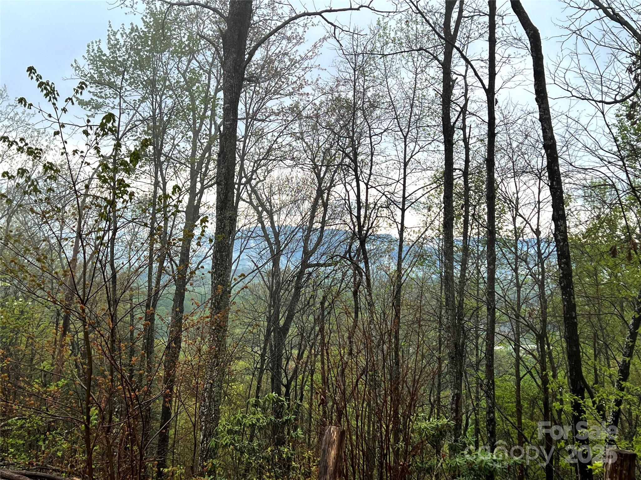 0 Scenic View Drive, Unit 150 Marion, NC 28752 - Photo 21 of 30