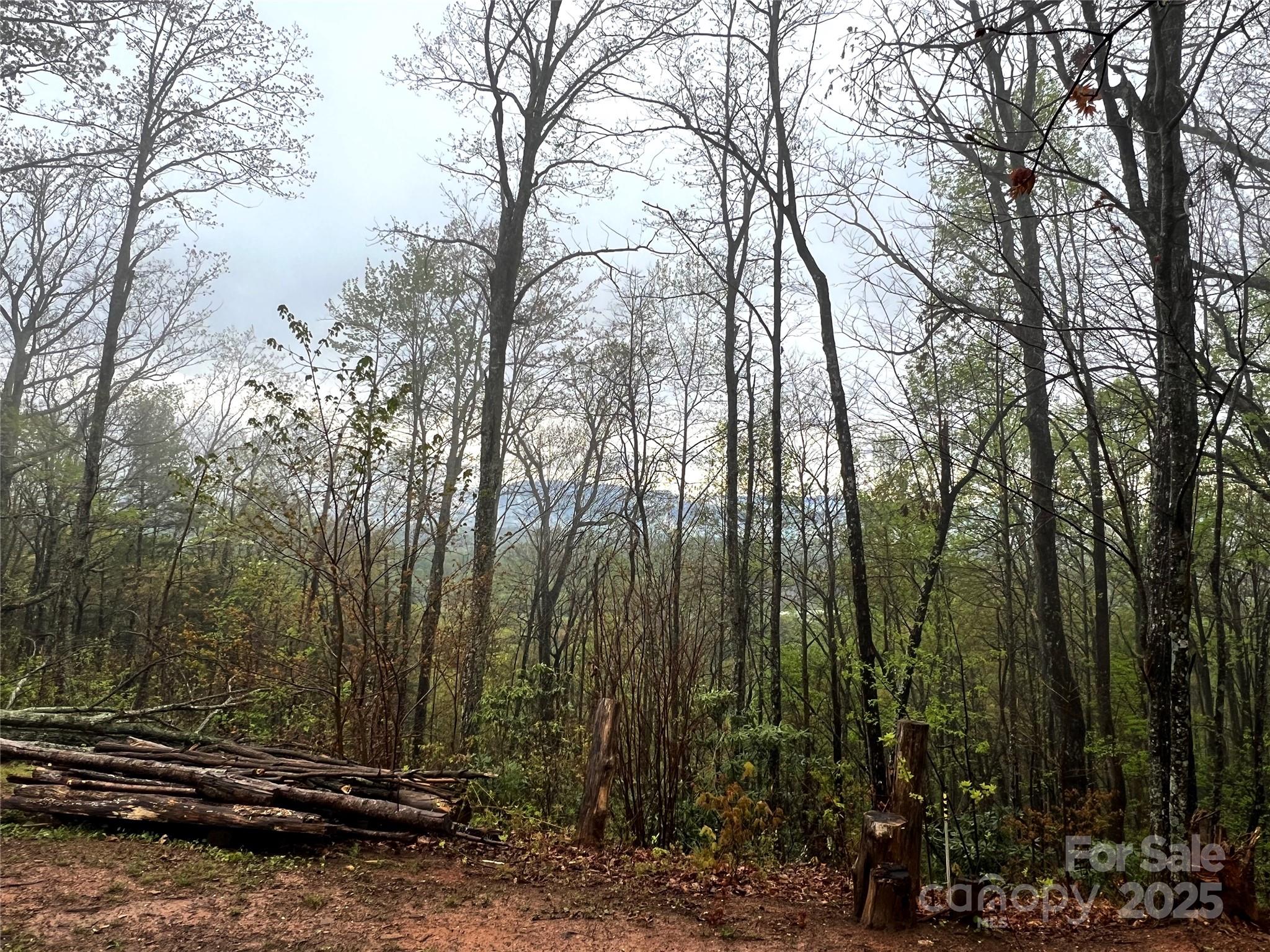 0 Scenic View Drive, Unit 150 Marion, NC 28752 - Photo 22 of 30