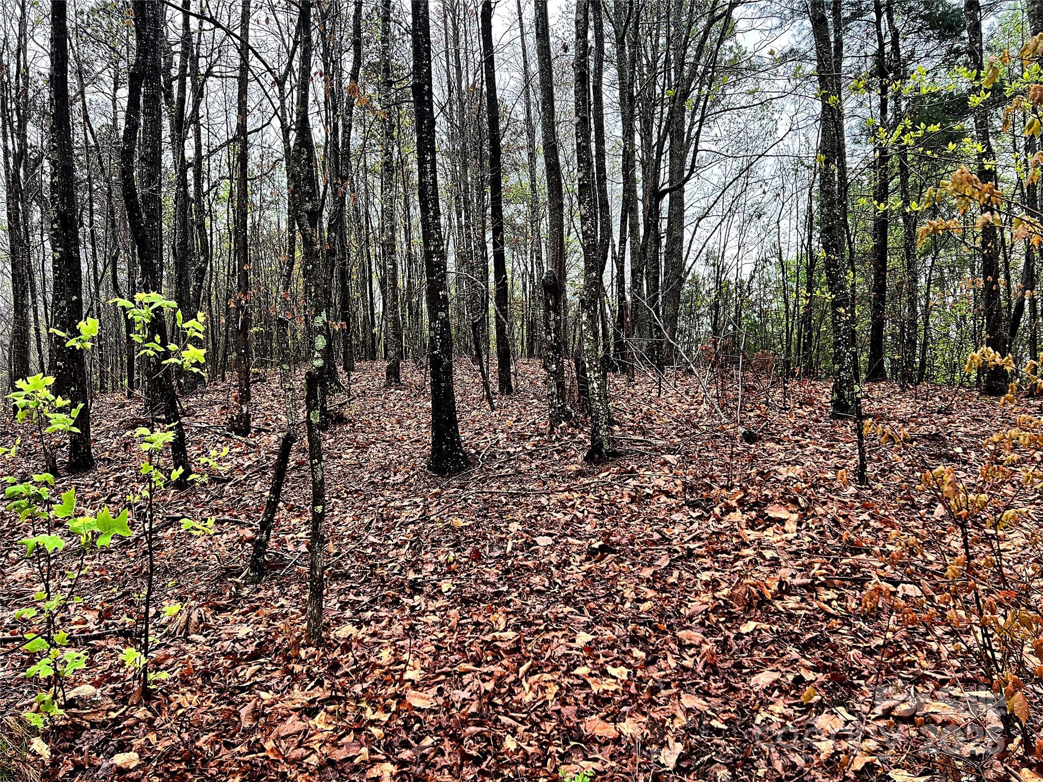 0 Scenic View Drive, Unit 150 Marion, NC 28752 - Photo 23 of 30