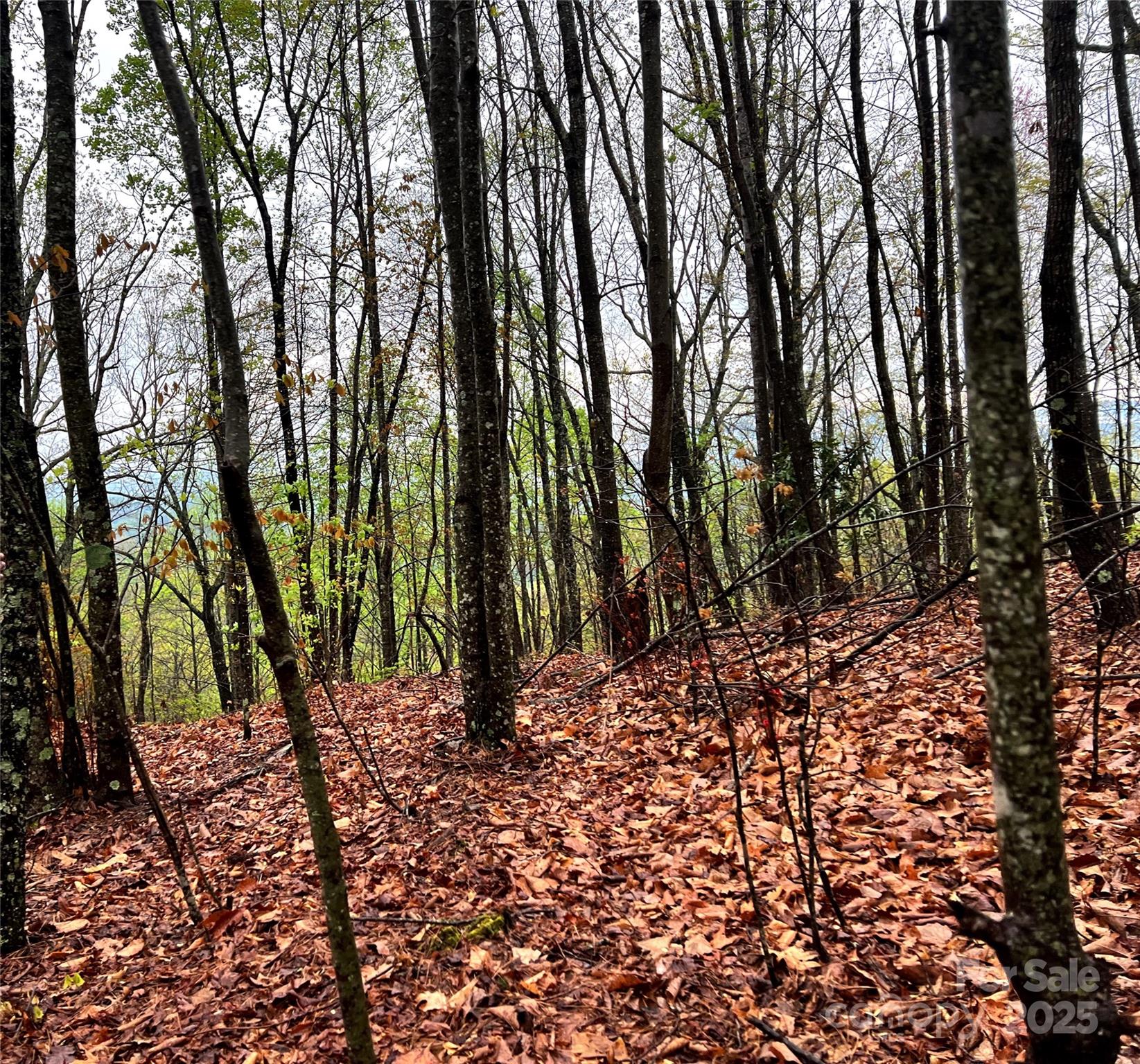 0 Scenic View Drive, Unit 150 Marion, NC 28752 - Photo 25 of 30