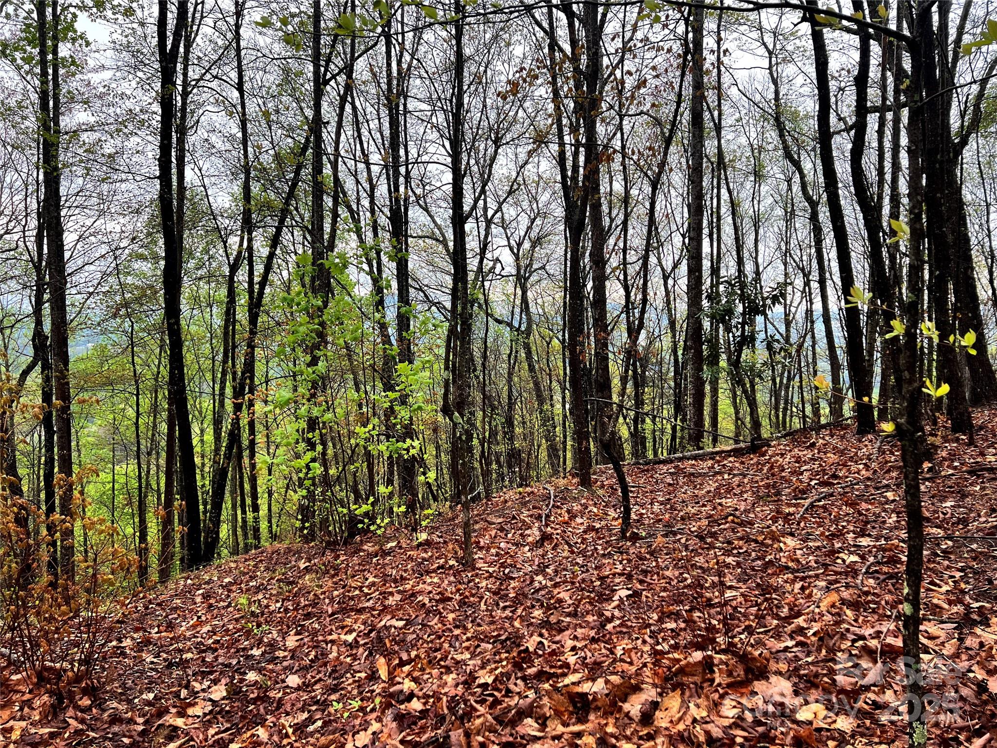 0 Scenic View Drive, Unit 150 Marion, NC 28752 - Photo 26 of 30