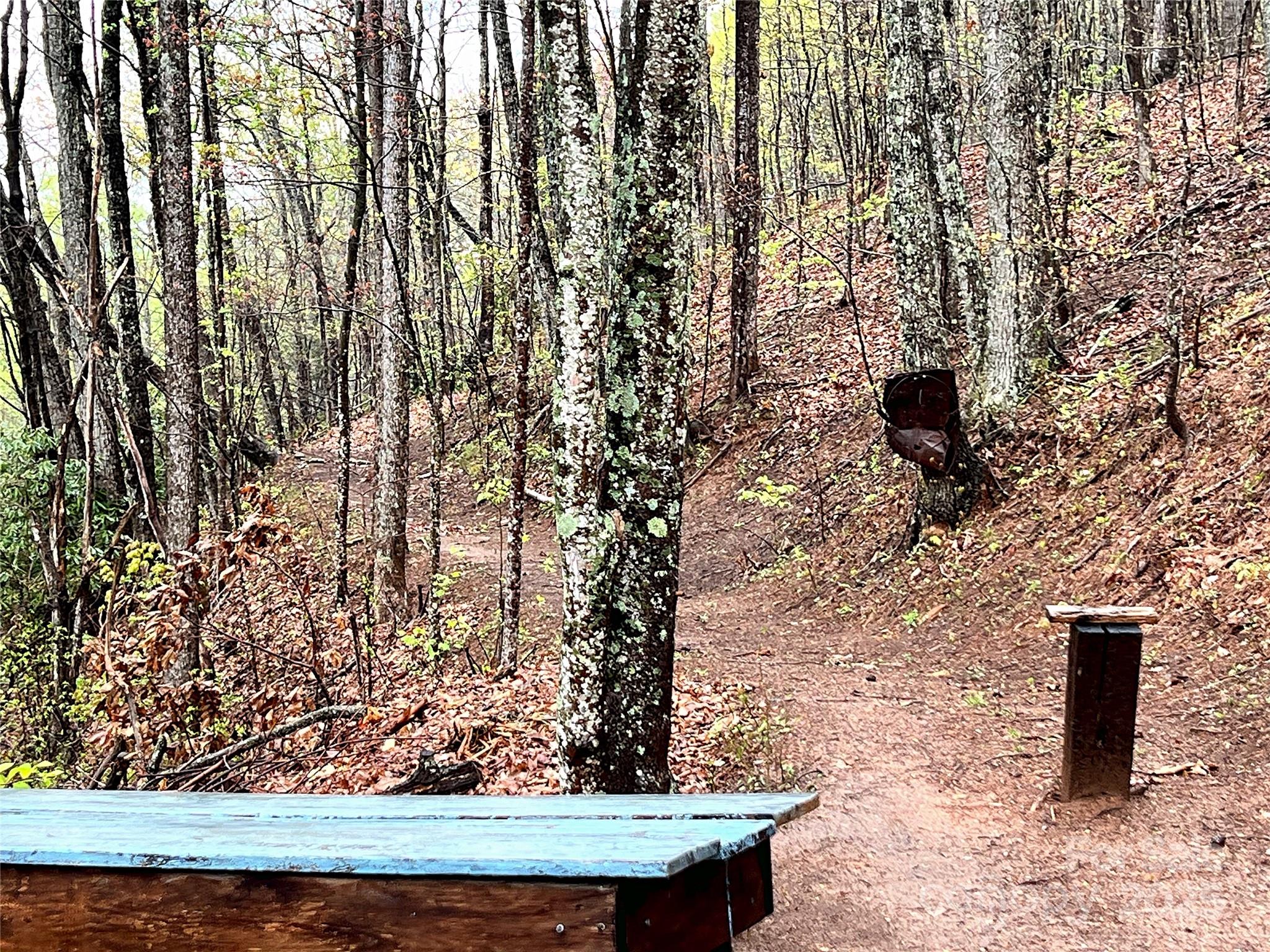 0 Scenic View Drive, Unit 150 Marion, NC 28752 - Photo 27 of 30