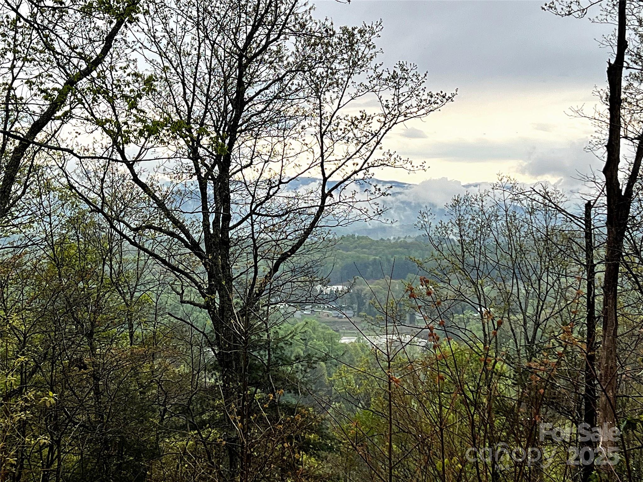 0 Scenic View Drive, Unit 150 Marion, NC 28752 - Photo 30 of 30