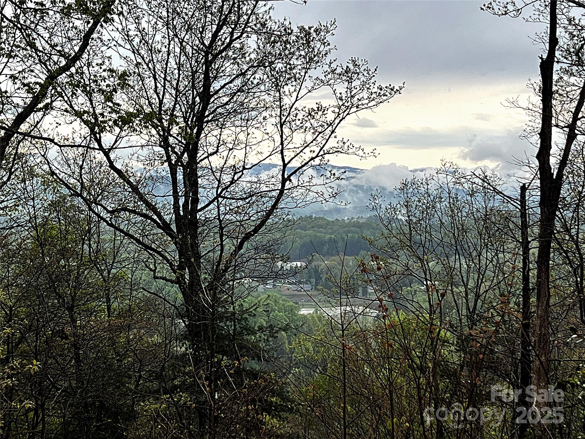 0 Scenic View Drive, Unit 150 Marion, NC 28752 - Photo 3 of 30