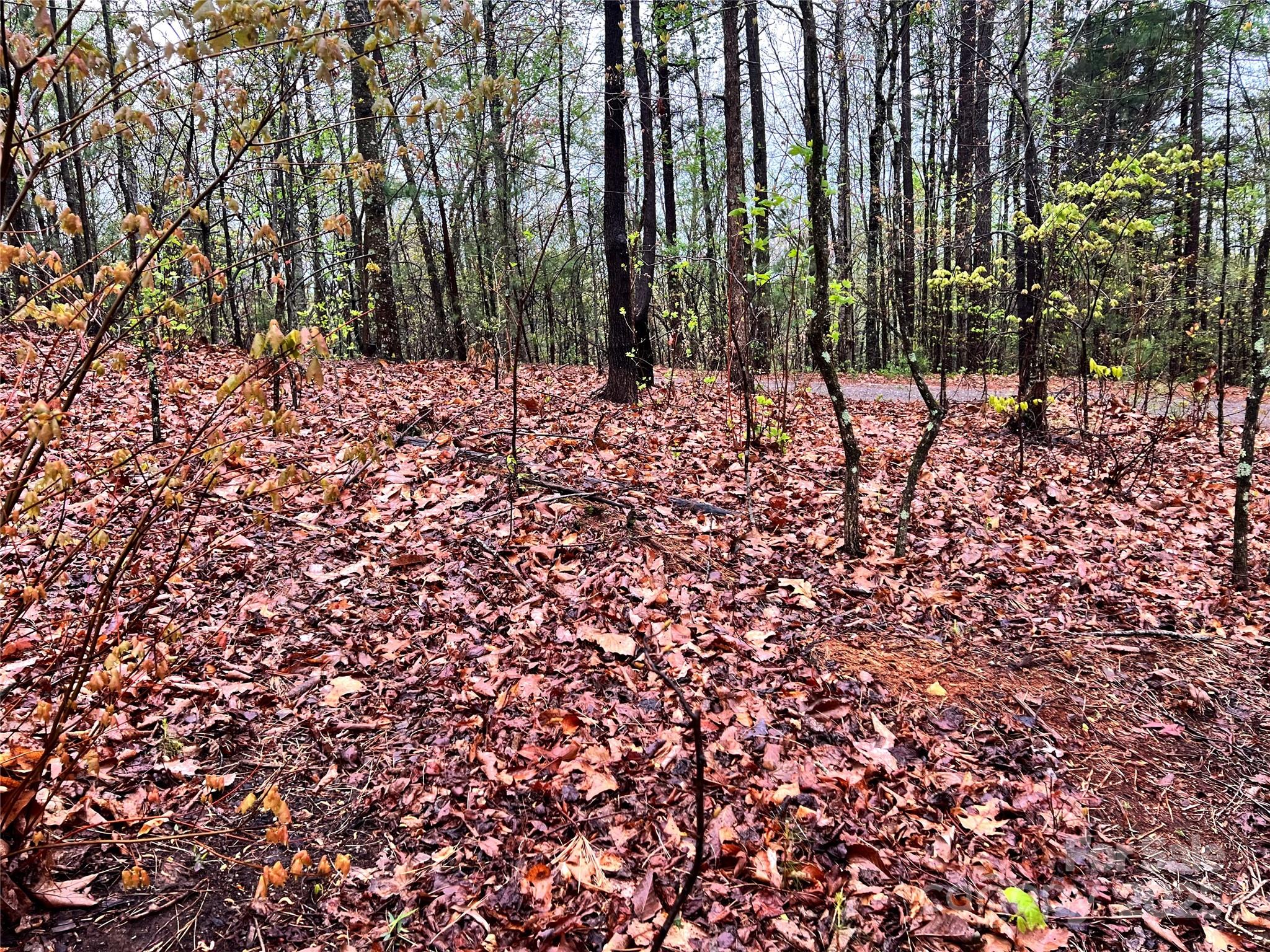 0 Scenic View Drive, Unit 150 Marion, NC 28752 - Photo 4 of 30