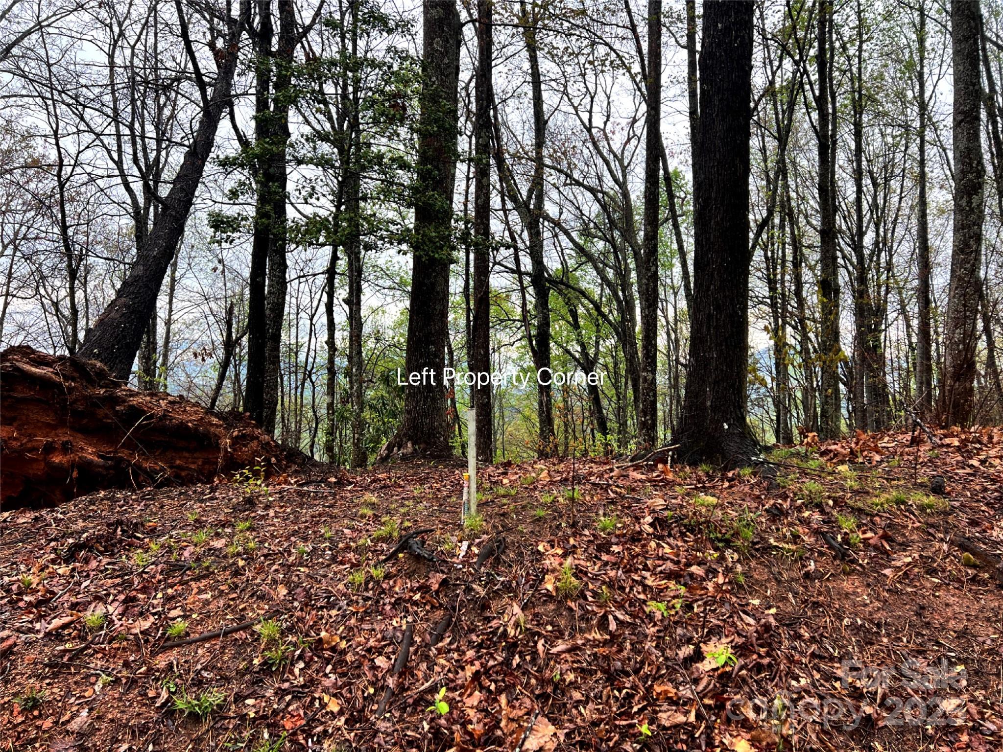 0 Scenic View Drive, Unit 150 Marion, NC 28752 - Photo 5 of 30
