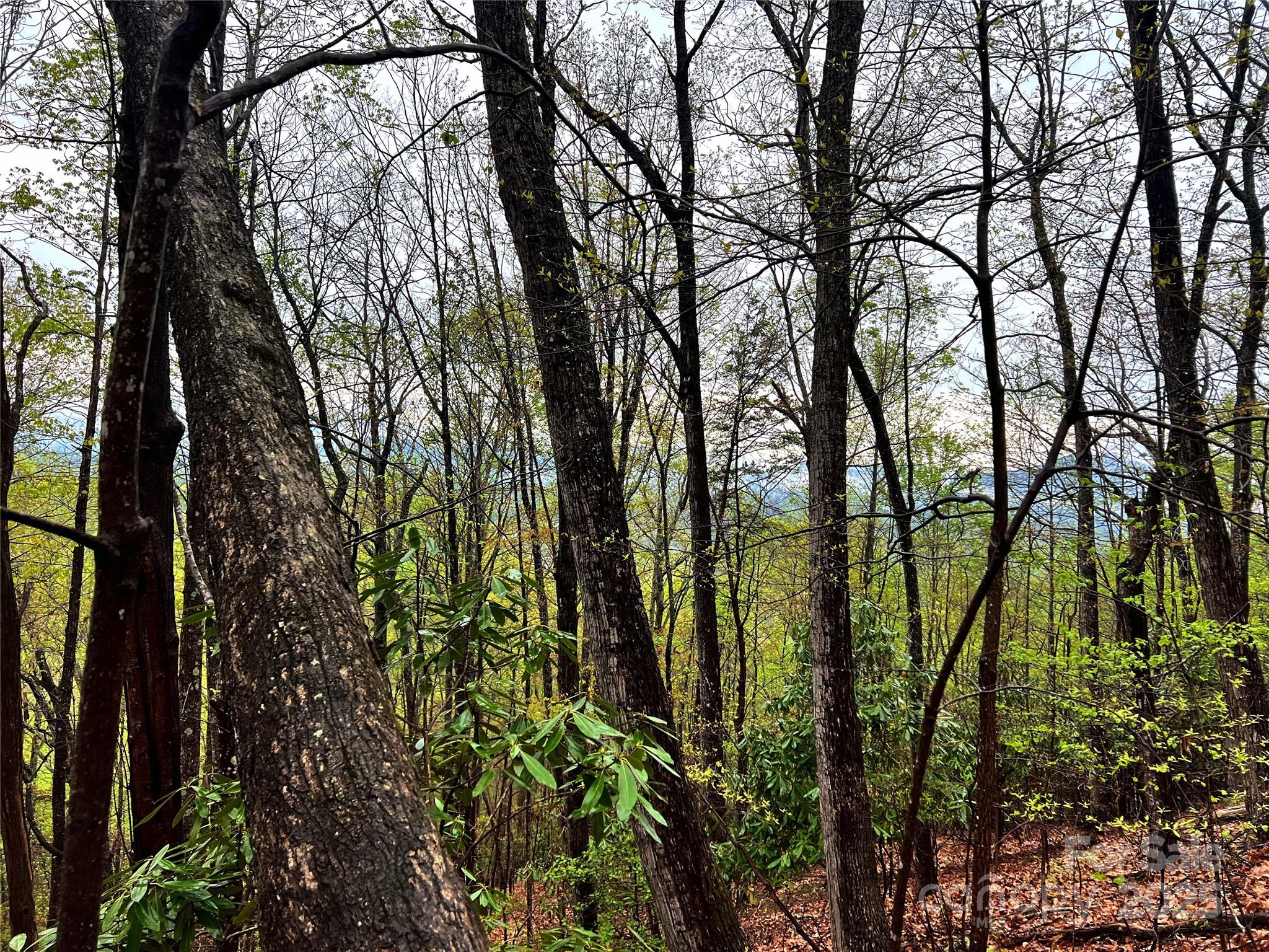 0 Scenic View Drive, Unit 150 Marion, NC 28752 - Photo 6 of 30