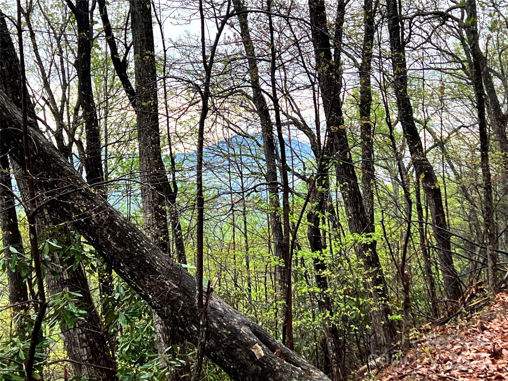 0 Scenic View Drive, Unit 150 Marion, NC 28752 - Photo 8 of 30