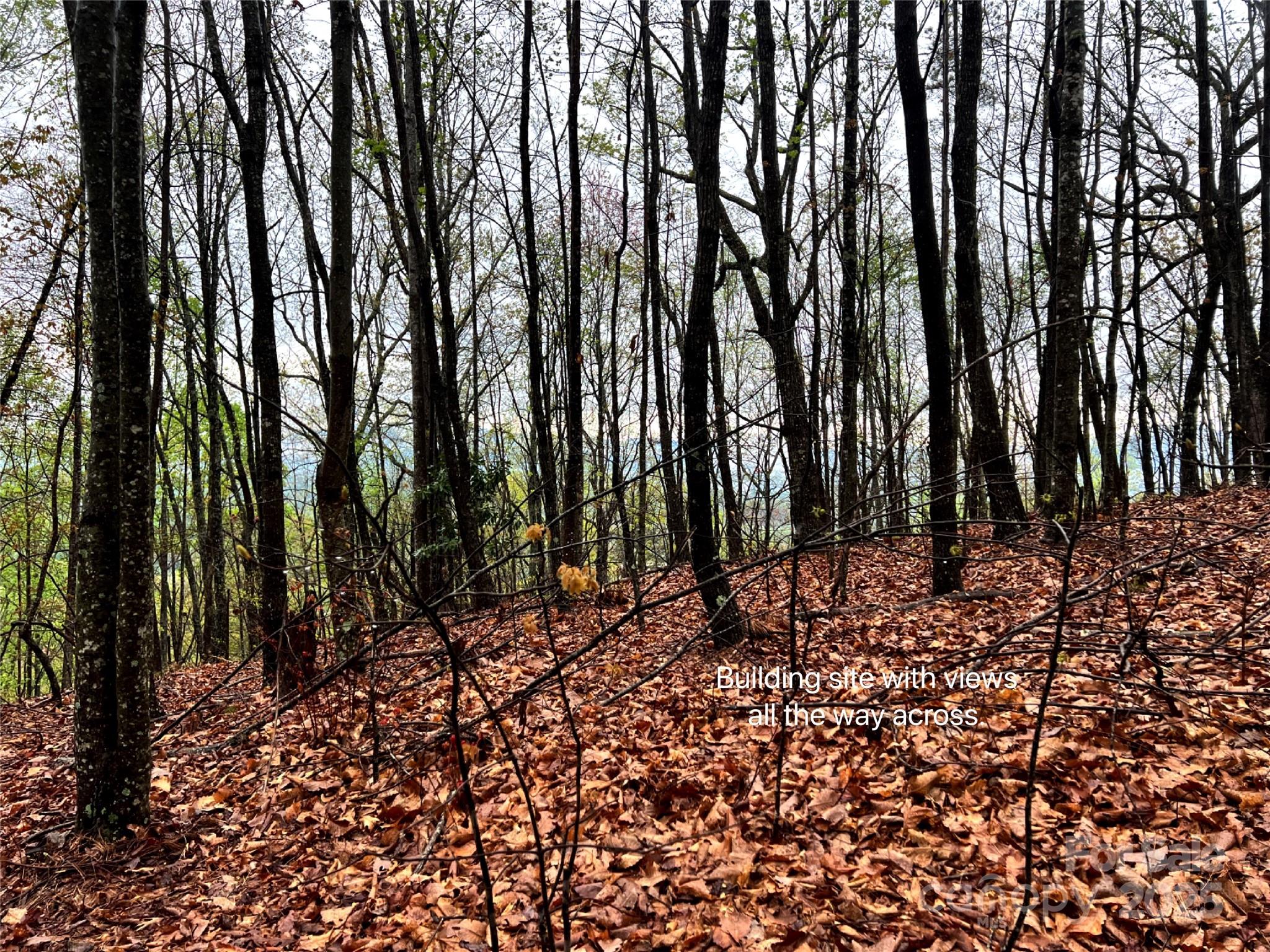 0 Scenic View Drive, Unit 150 Marion, NC 28752 - Photo 10 of 30