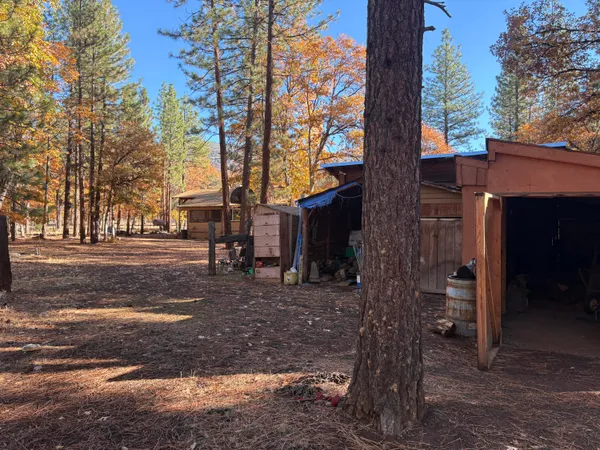 a view of a house with a tree next to a yard