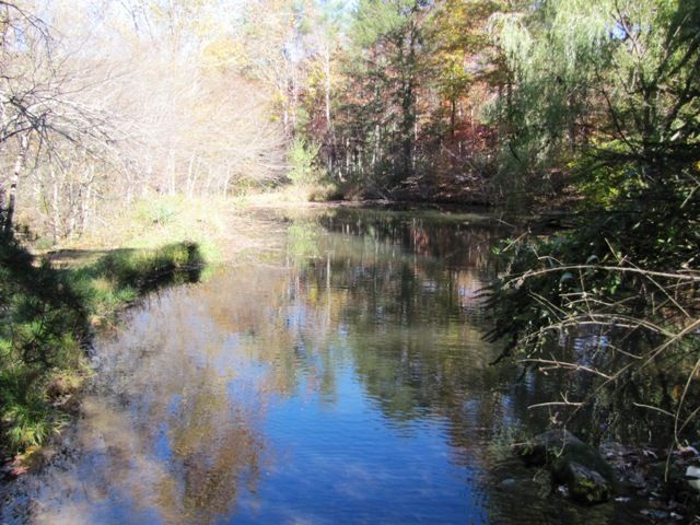 329 Trout Run Road Waiteville, WV 24984 - Photo 43 of 91 Gallery Image 43
