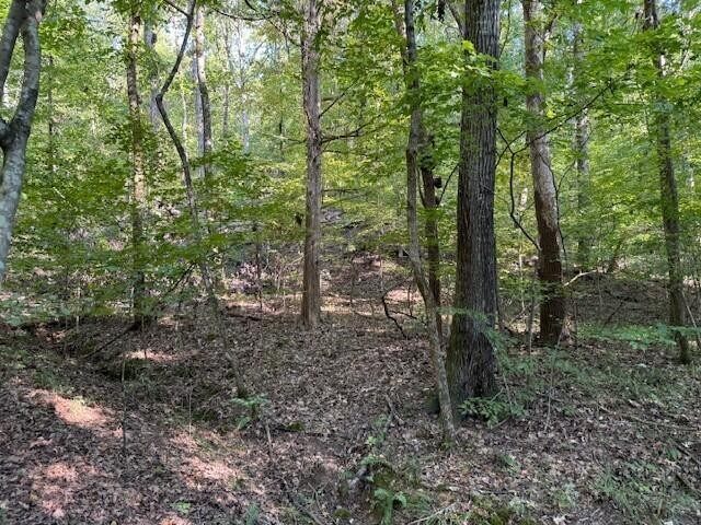 5 Mullins Cove Road Whitwell, TN 37397 - Photo 6 of 16 Gallery Image 6