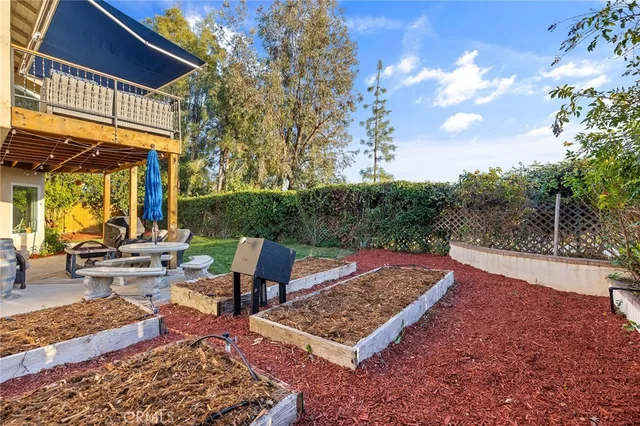 a view of a park with large trees