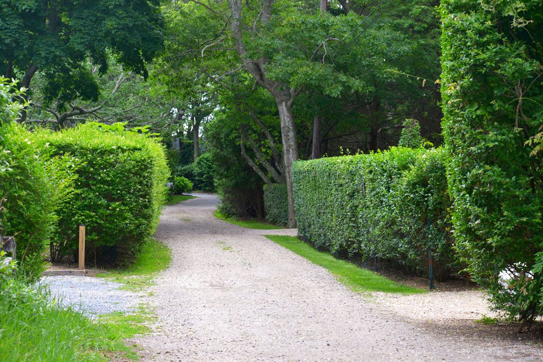 9 Bluff Point Lane Sag Harbor, NY 11963 - Photo 4 of 25 a view of backyard with green space