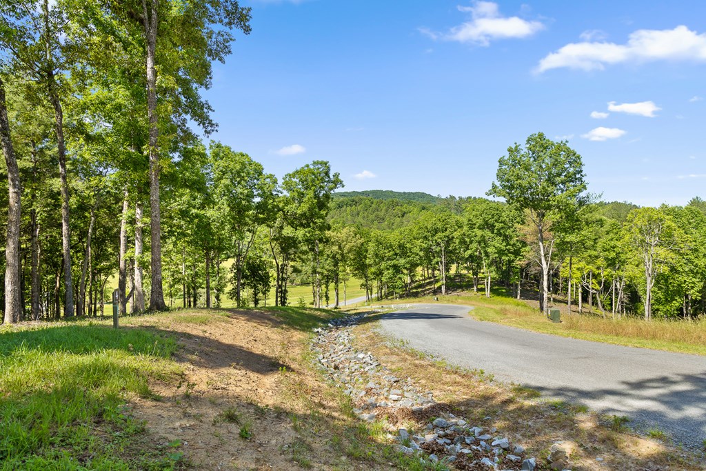 Lot 4 Ridge Drive Morganton, GA 30560 - Photo 2 of 23