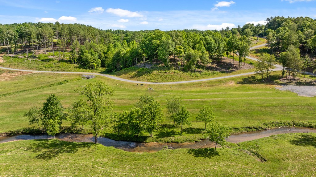 Lot 4 Ridge Drive Morganton, GA 30560 - Photo 23 of 23