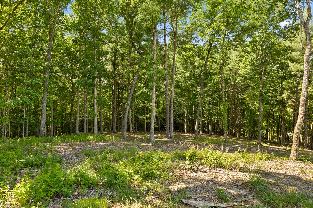 Lot 4 Ridge Drive Morganton, GA 30560 - Photo 3 of 23