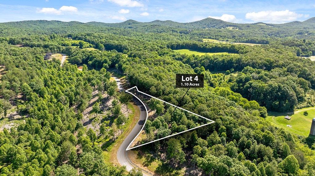 Lot 4 Ridge Drive Morganton, GA 30560 - Photo 10 of 23