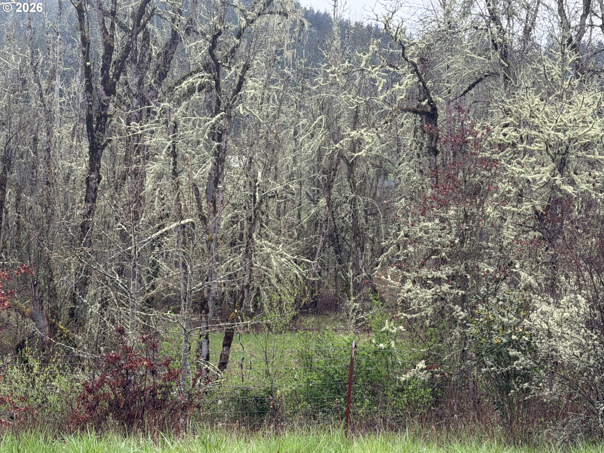 82750 Bear Creek Road Creswell, OR 97426 - Photo 2 of 4