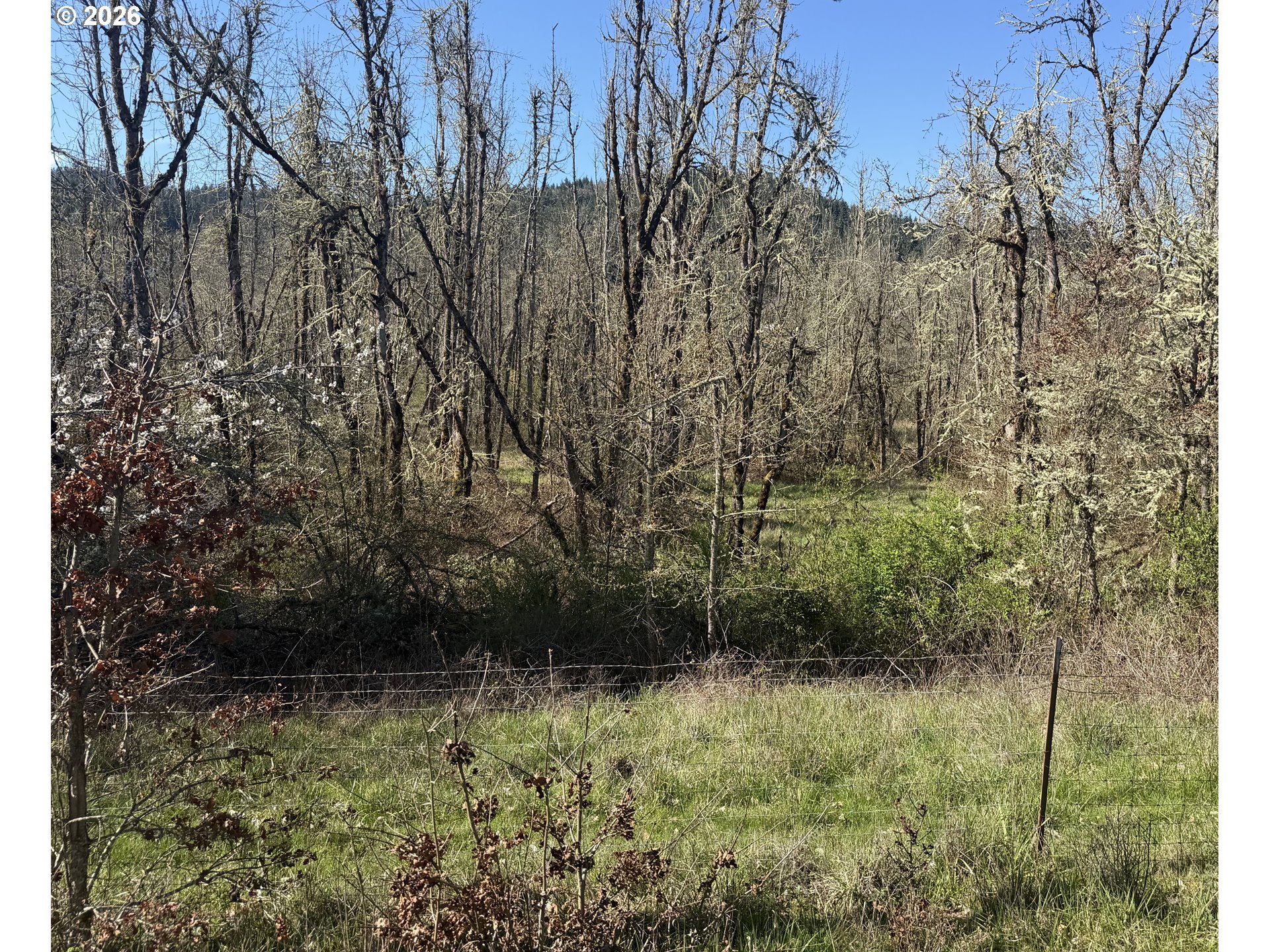 82750 Bear Creek Road Creswell, OR 97426 - Photo 3 of 4