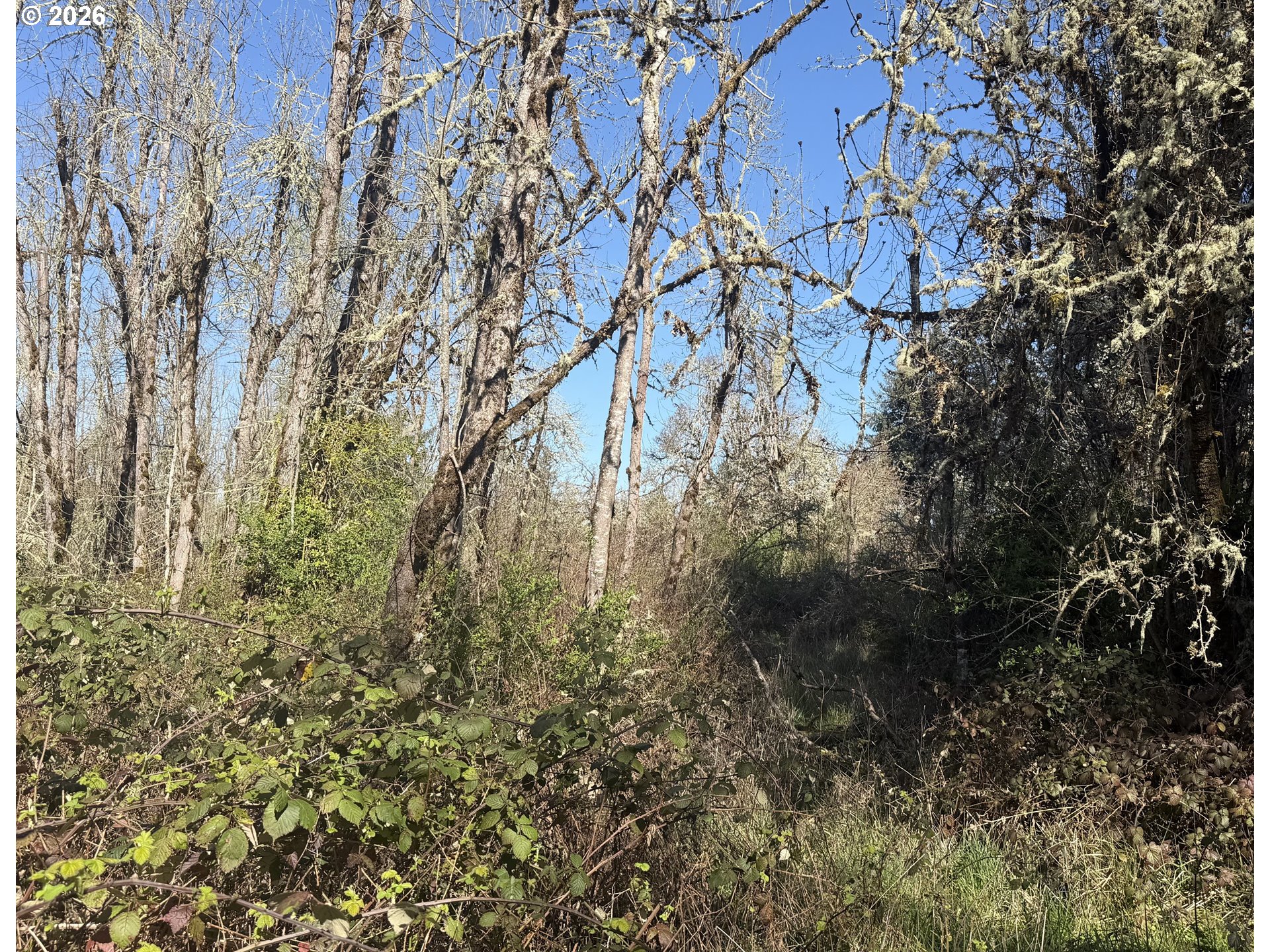 82750 Bear Creek Road Creswell, OR 97426 - Photo 4 of 4