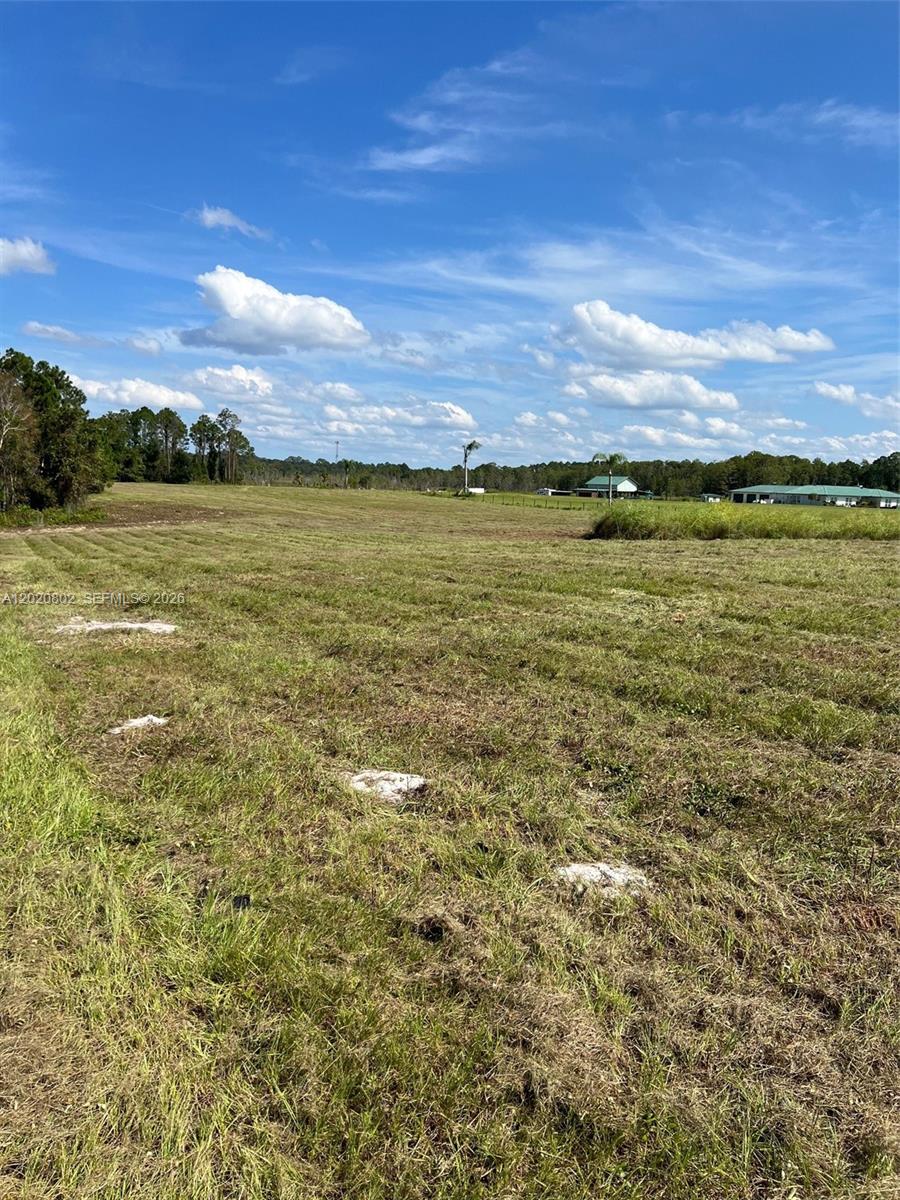 Huntington Shortcut Road Crescent City, FL 32112 - Photo 5 of 6 Photo 5