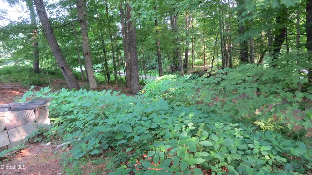 $295,000 | 111 Pike Street, Broadalbin, NY 12025