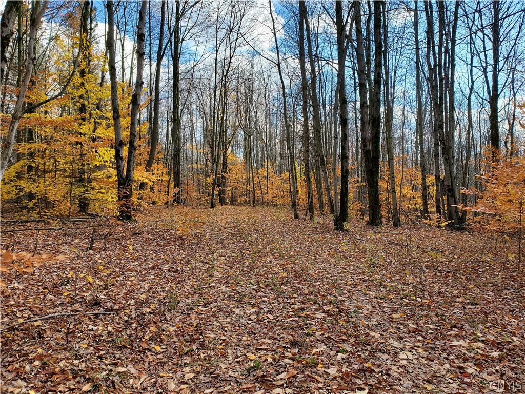 0 Johnson Road De Ruyter, NY 13052 - Photo 13 of 18 Gallery Image 13