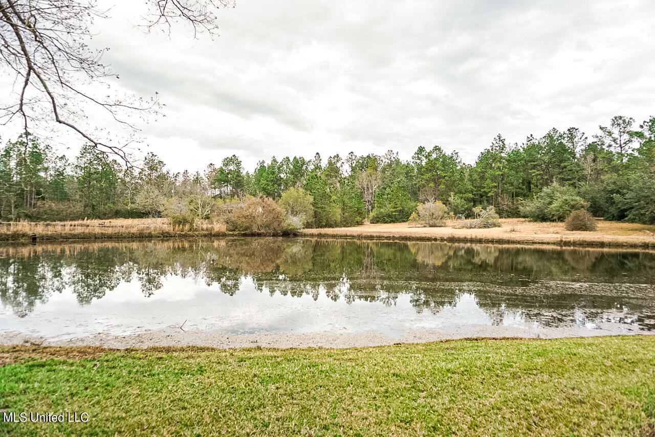 1108 Cowart Road Lucedale, MS 39452 - Photo 17 of 23 DSC01046-2(1)
