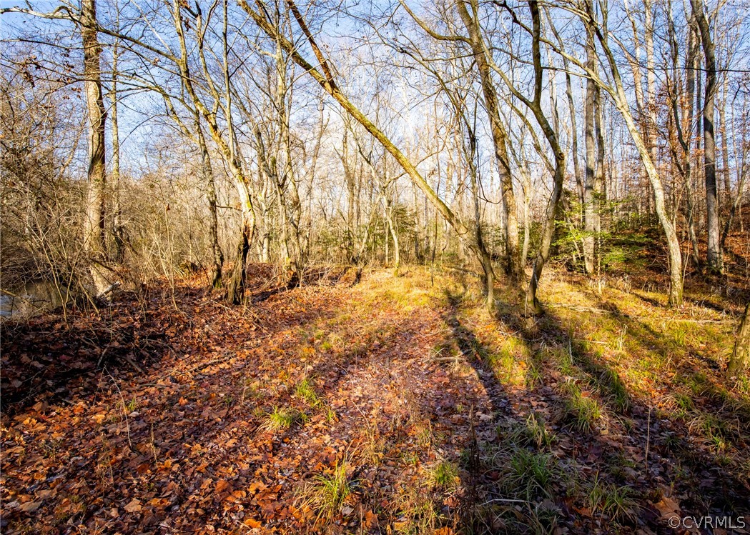 Lot 1 Hewlett Road Beaverdam, VA 23015 - Photo 11 of 24